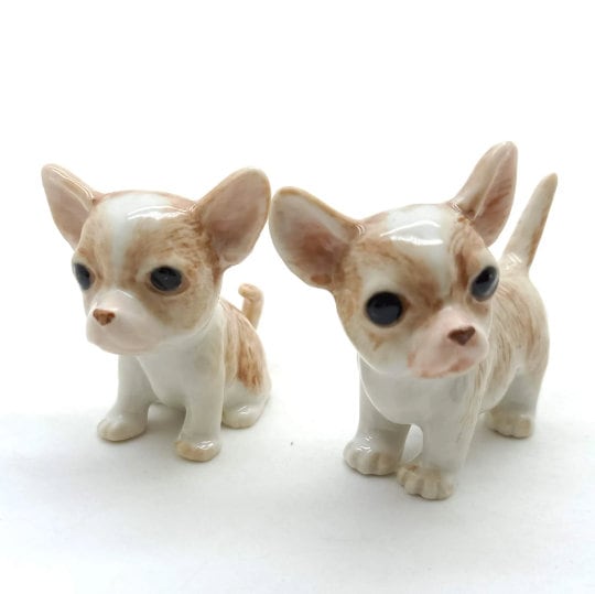 2 Chihuahua Pups