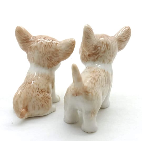 2 Chihuahua Pups