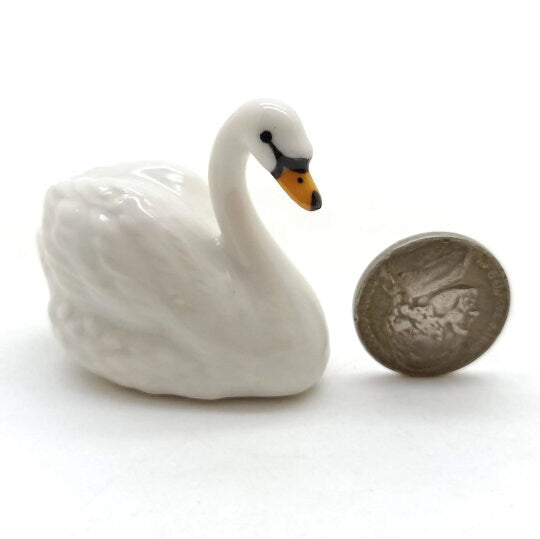 Swan