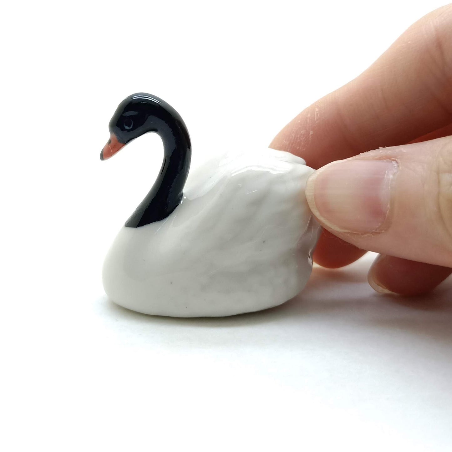 Swan