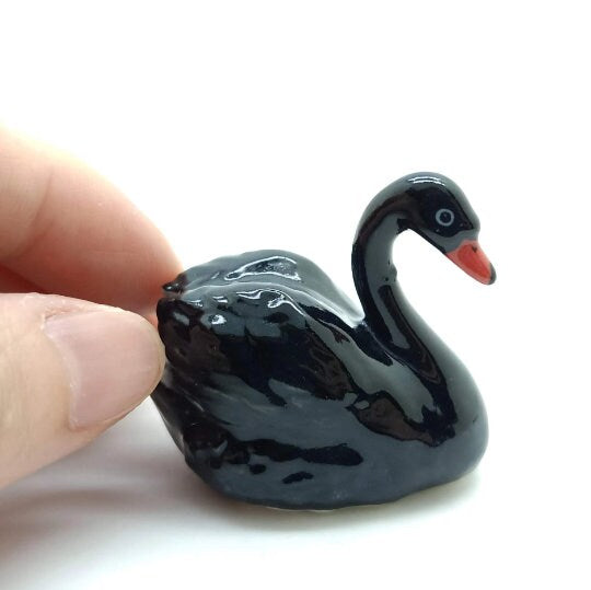 Swan