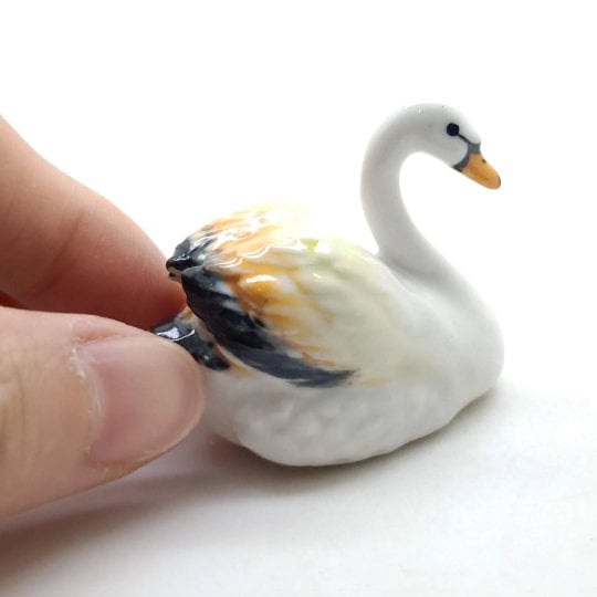 Swan
