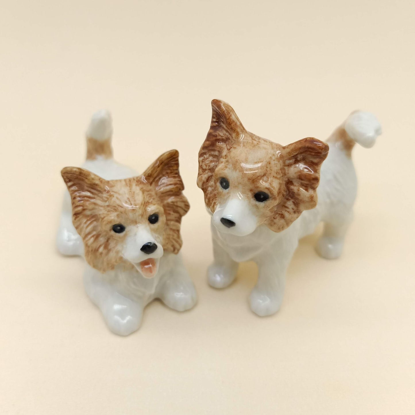 2 Long-haired Chihuahuas