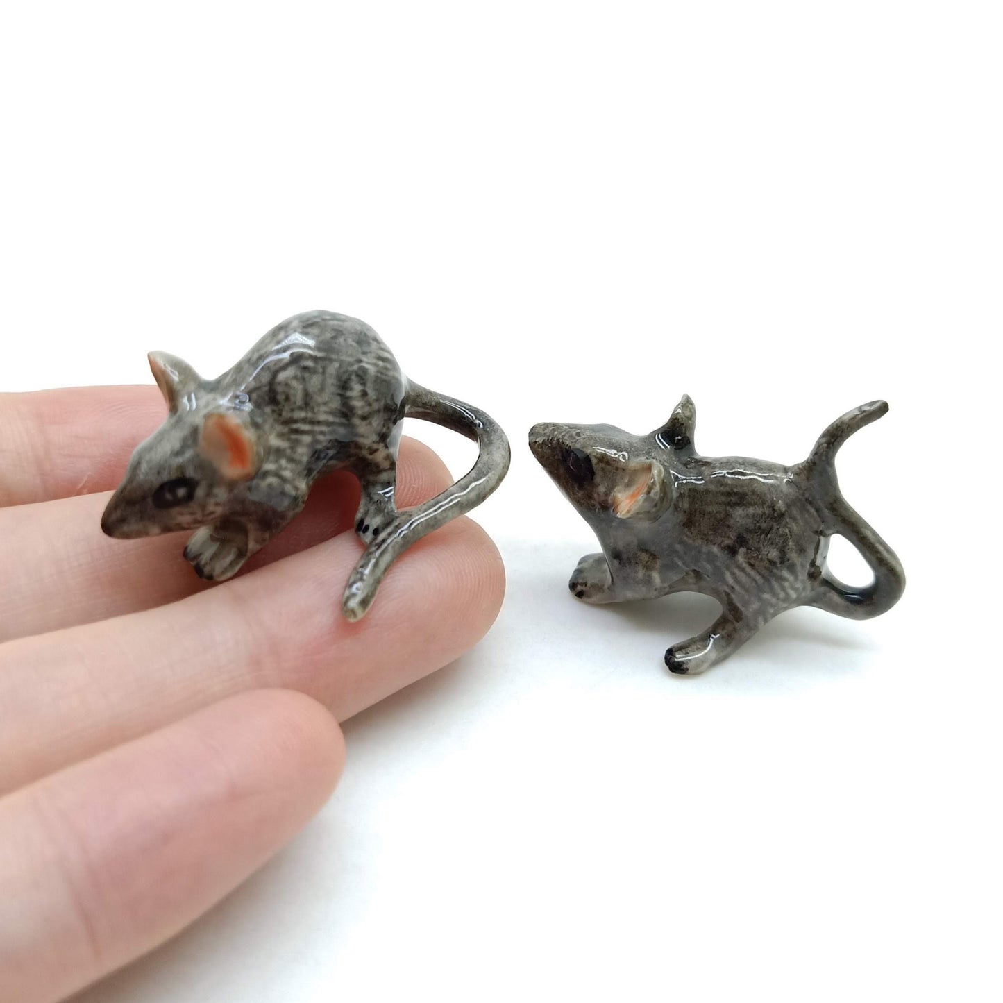 2 Rats