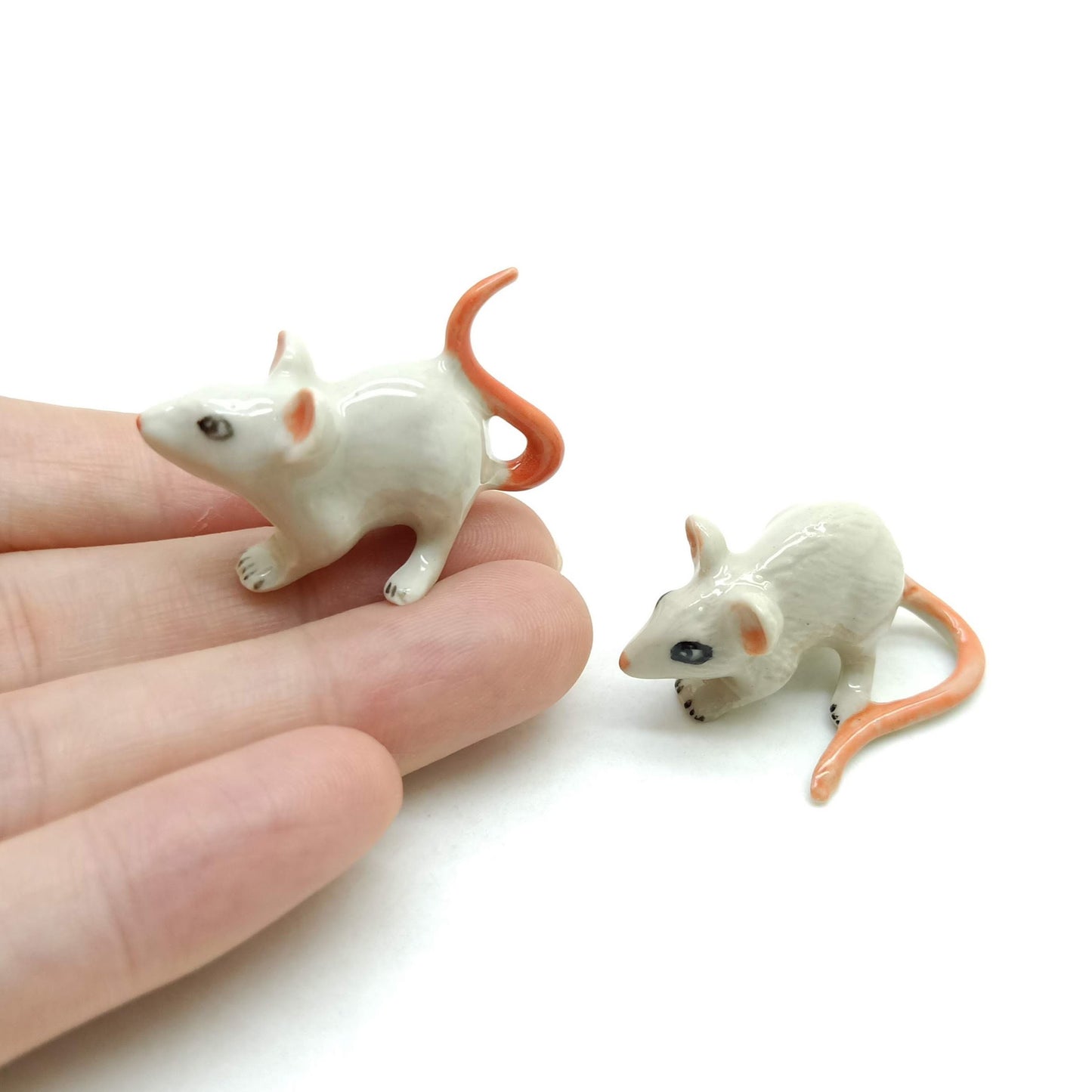2 Rats