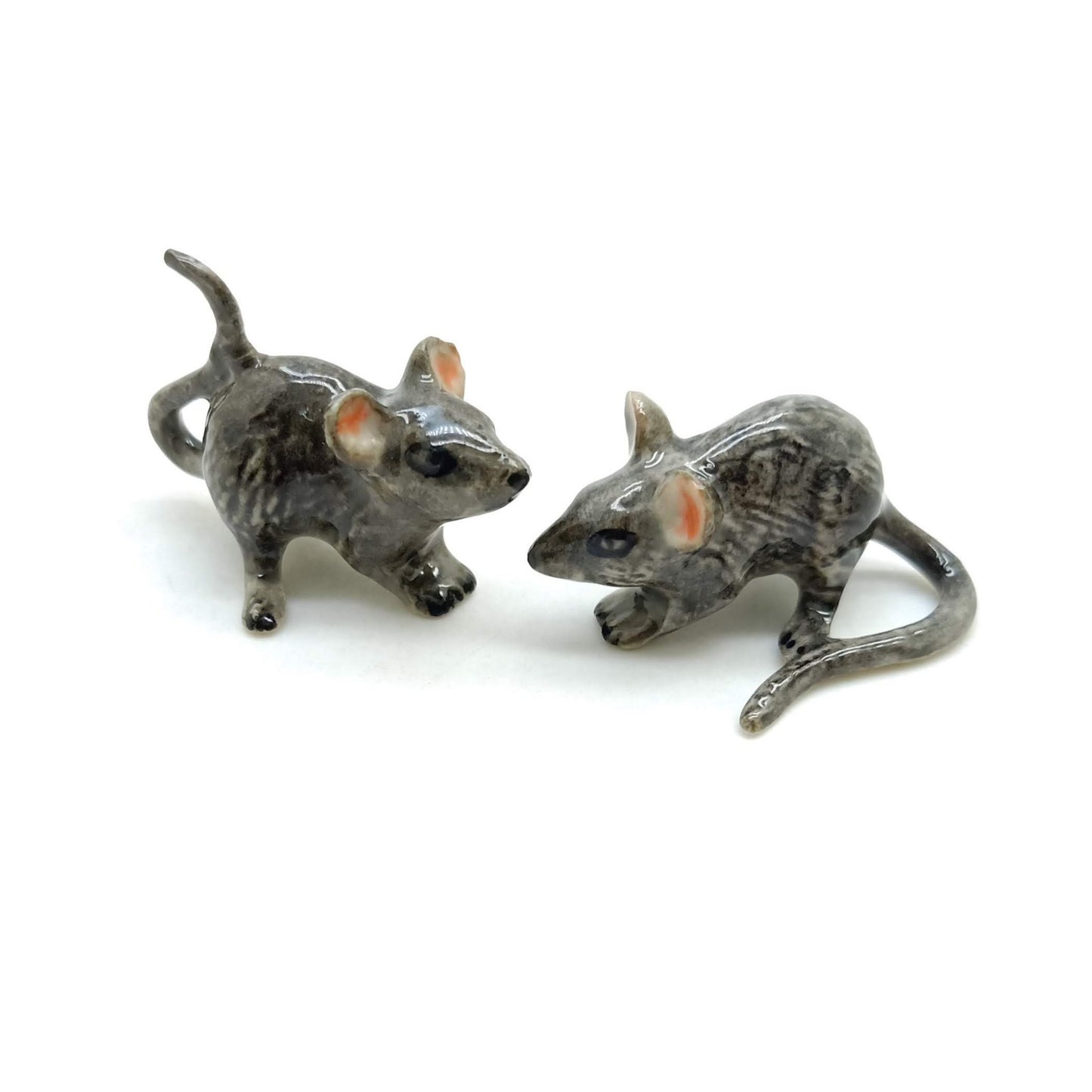 2 Rats