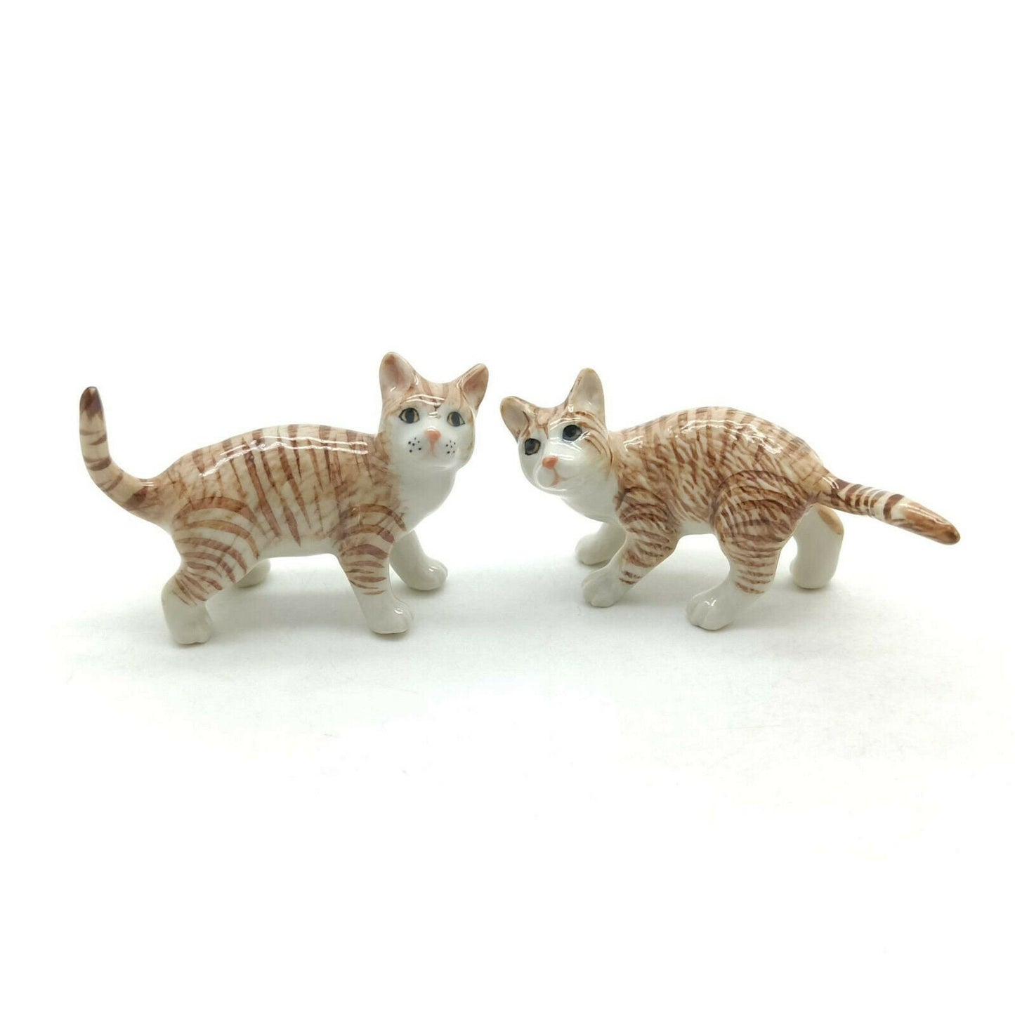 2 Kitten Cats