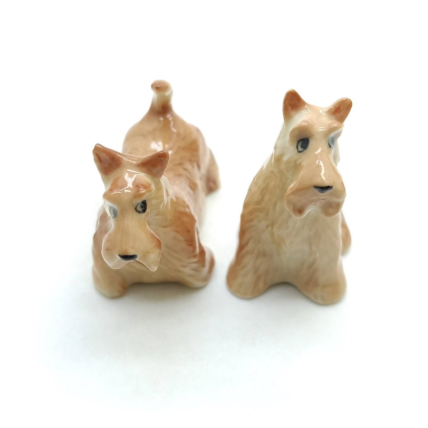 2 Scottish Terrier Dogs