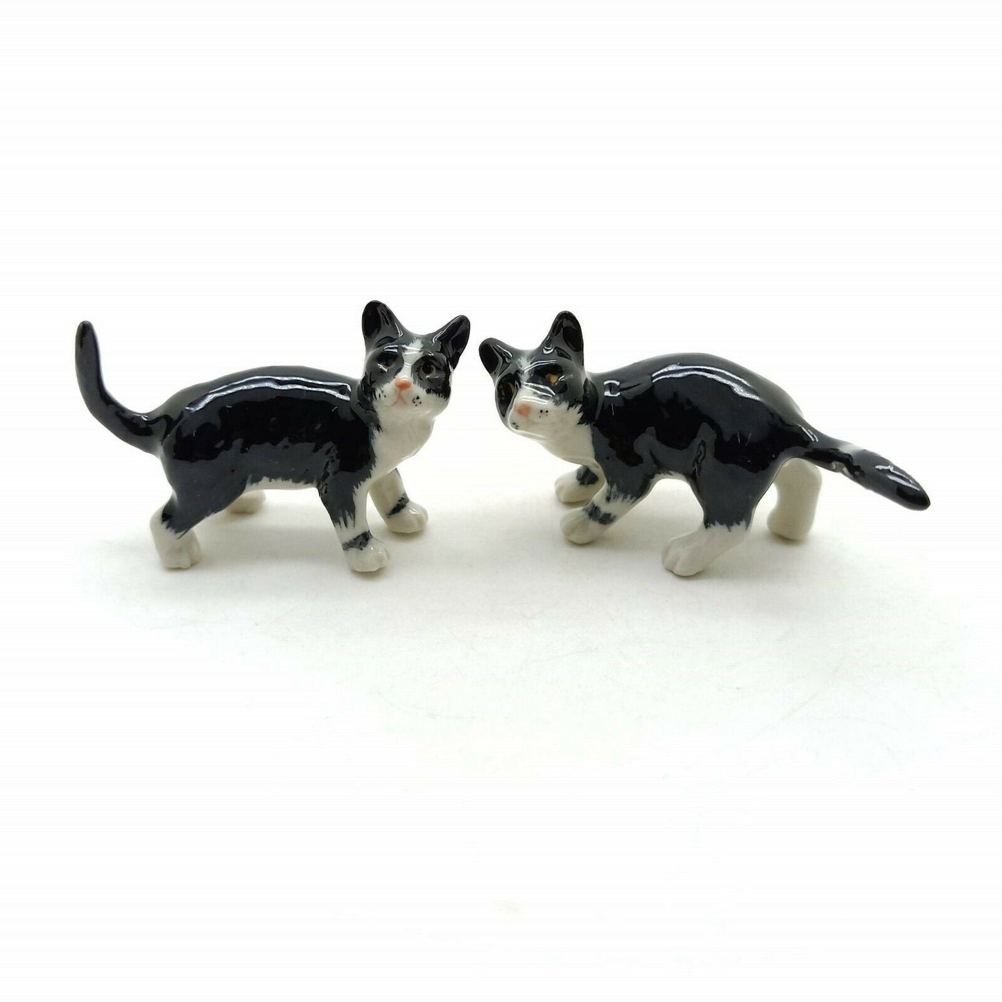 2 Kitten Cats