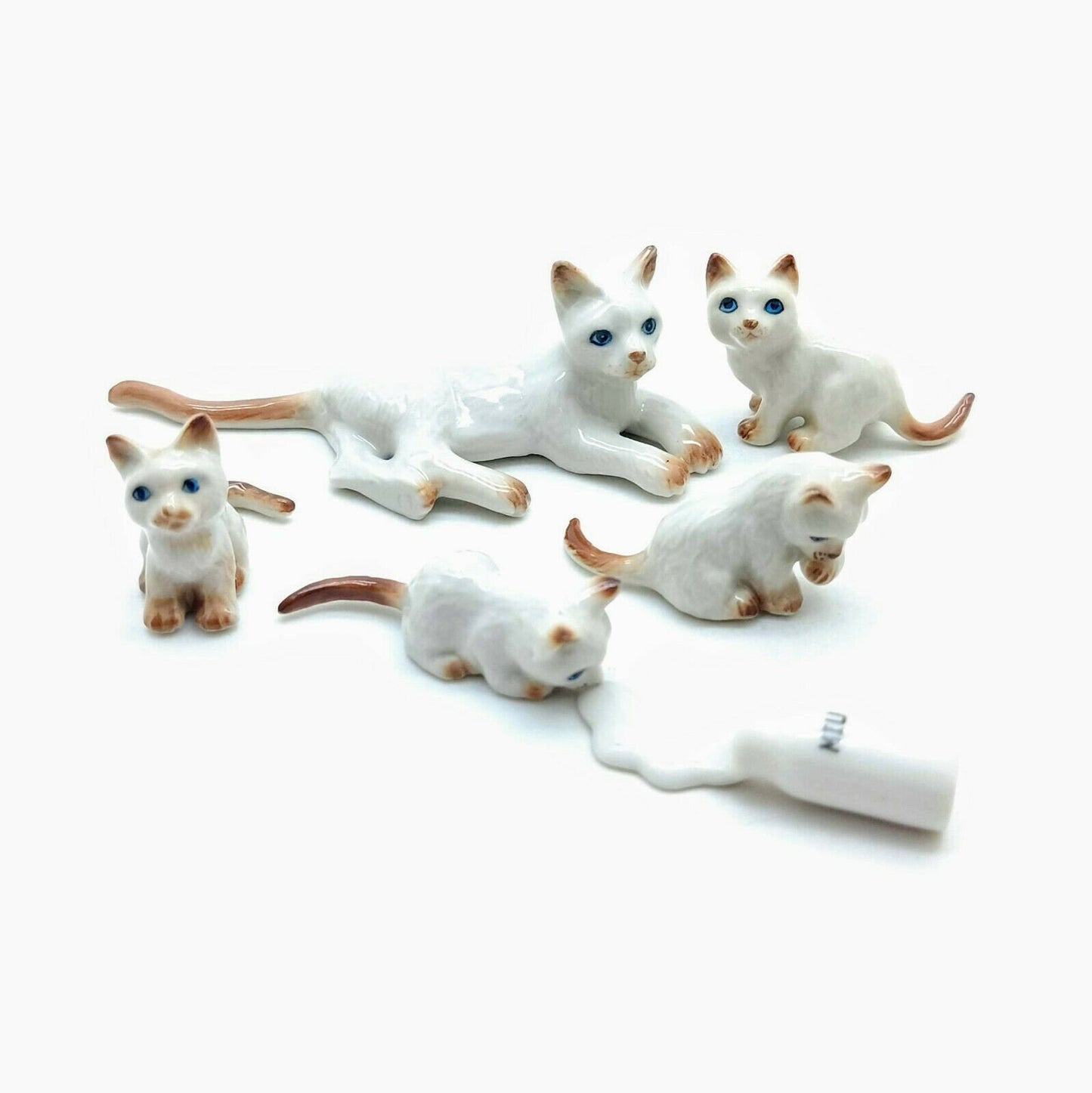 5 Tabby Kitten Cats with Milk Bottle