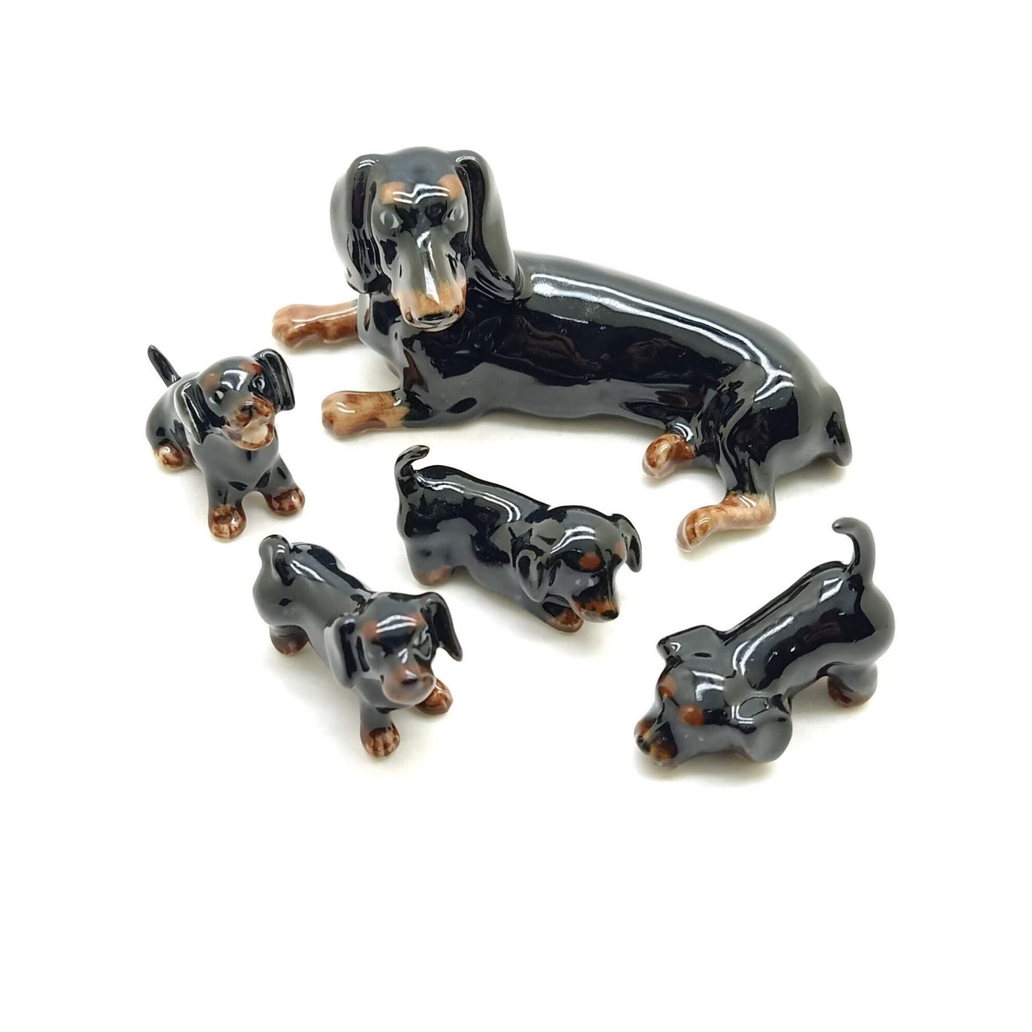Dachshund Family