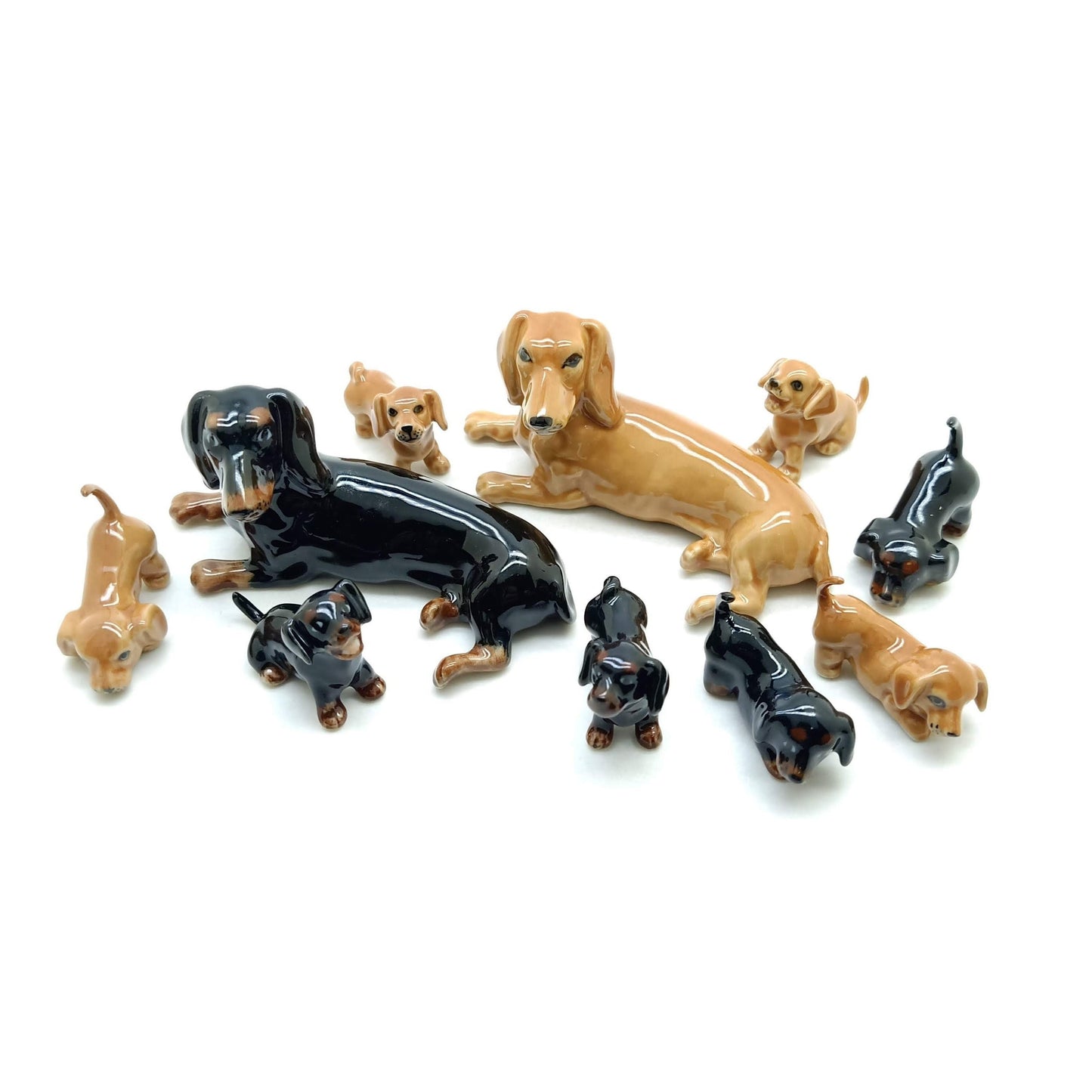Dachshund Family