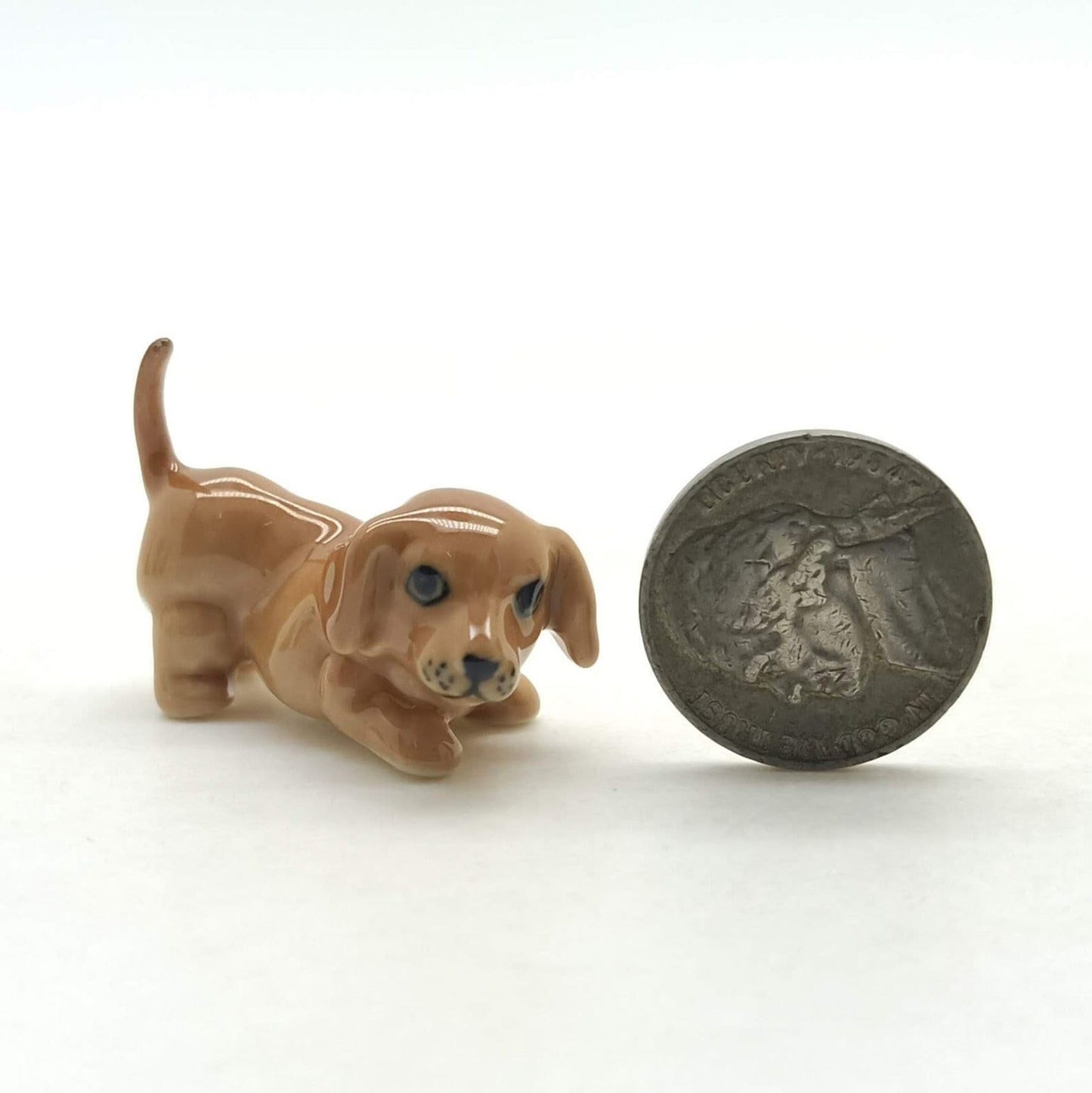 Dachshund Family