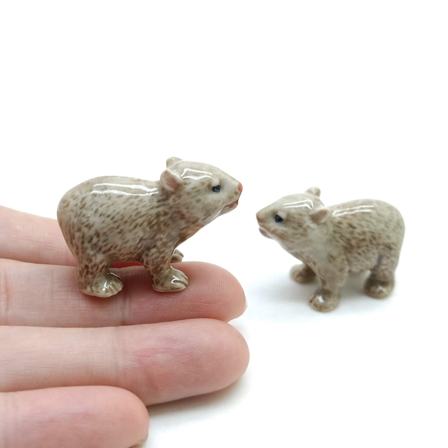 2 Wombat Maria Island Babies