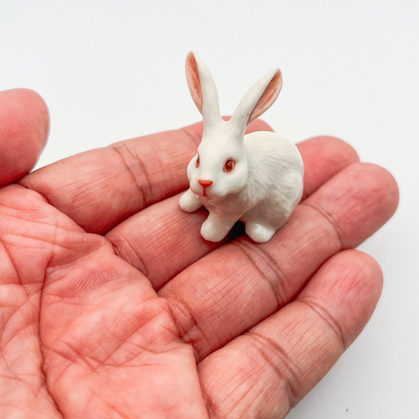 White Rabbit Bunny