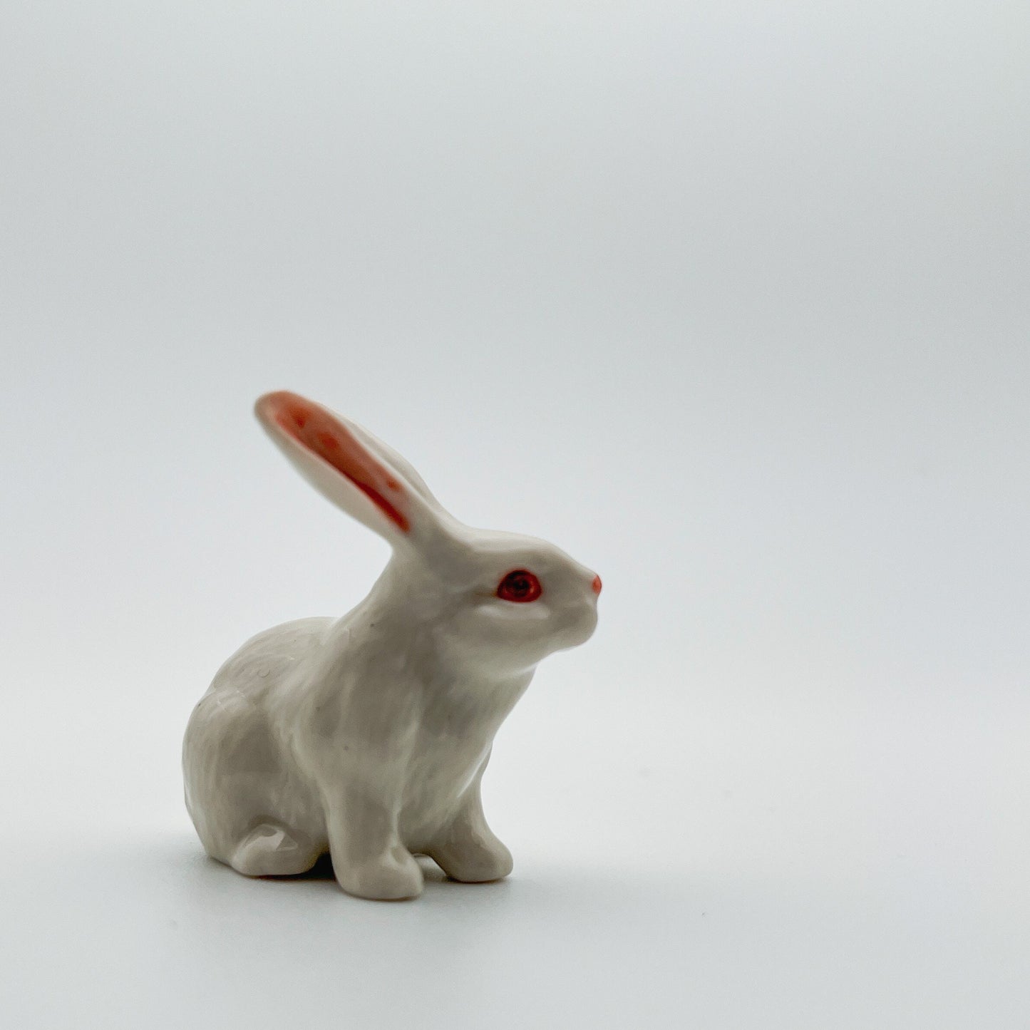 White Rabbit Bunny