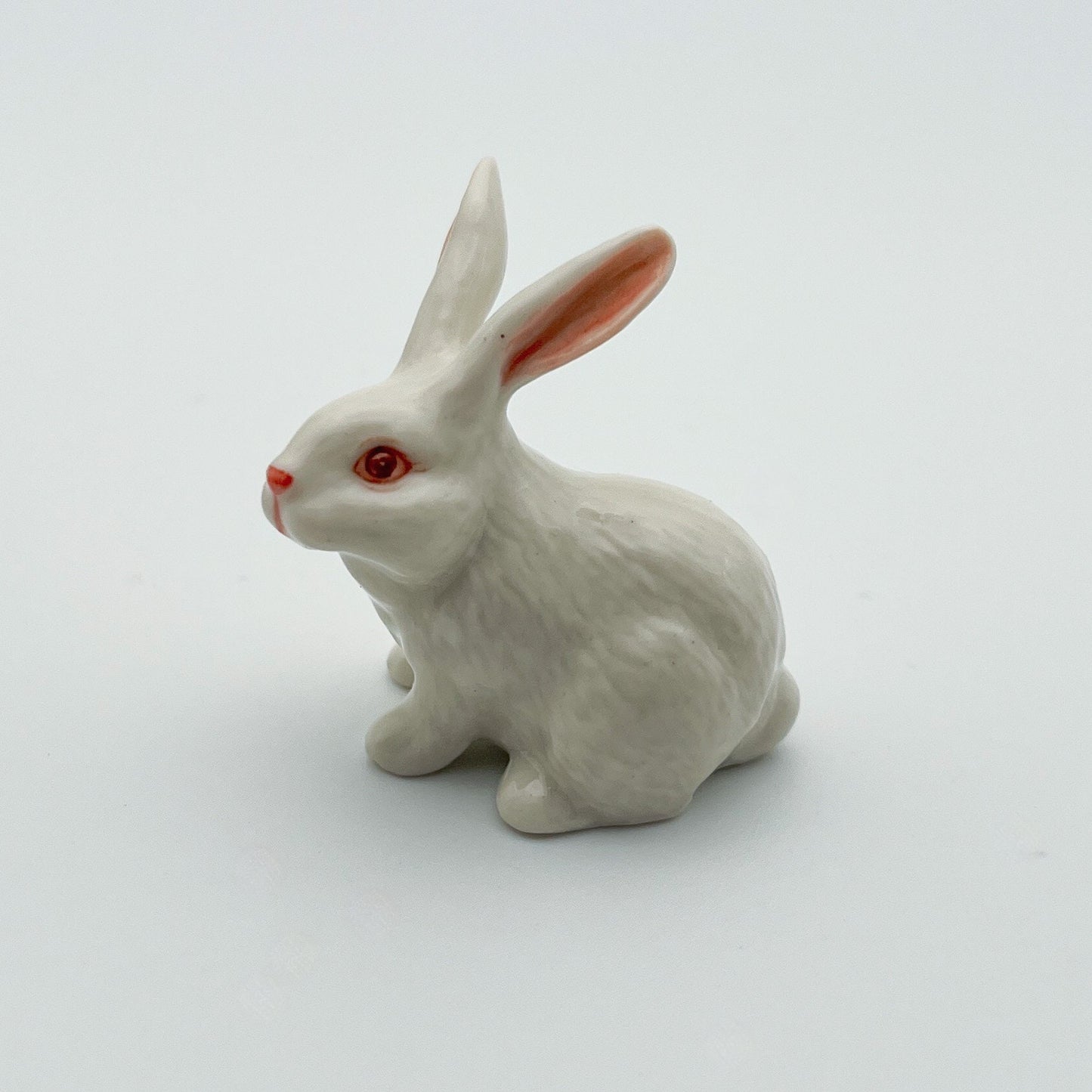 White Rabbit Bunny