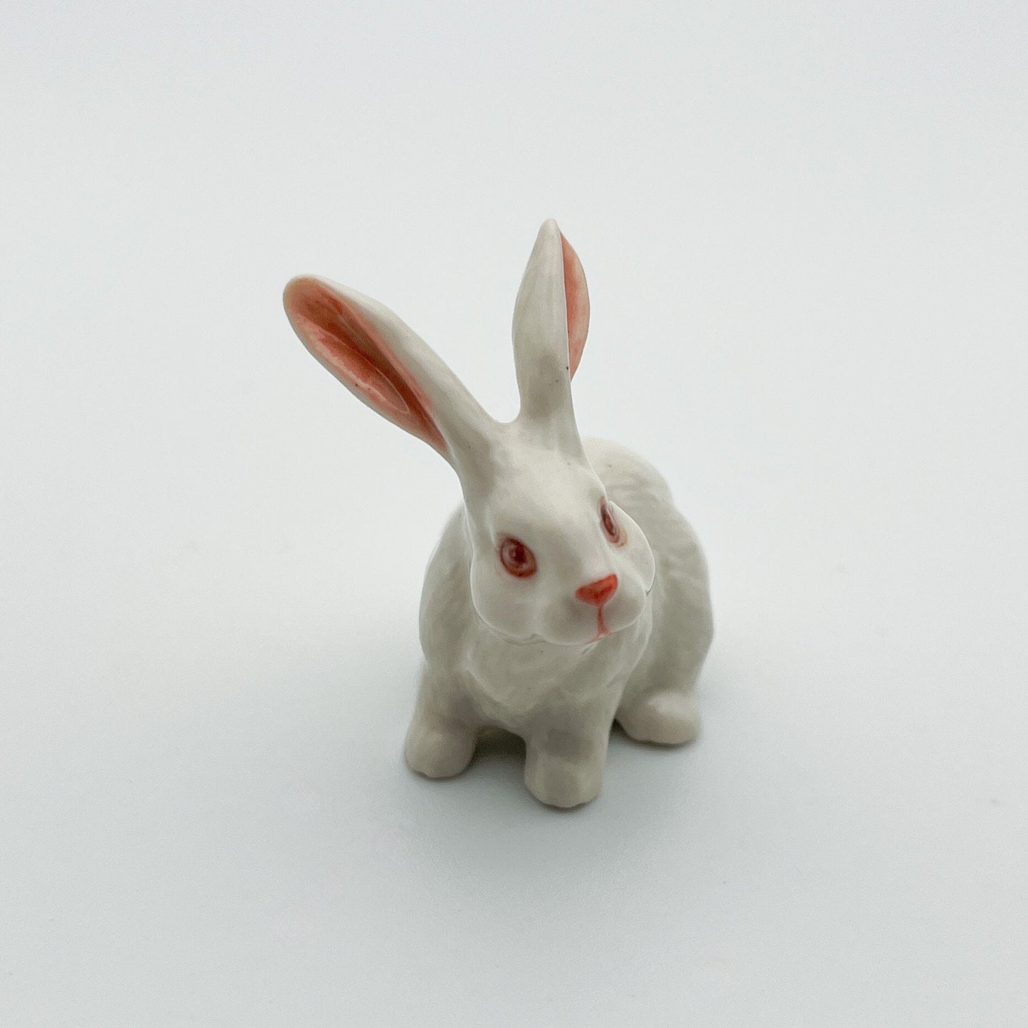 White Rabbit Bunny