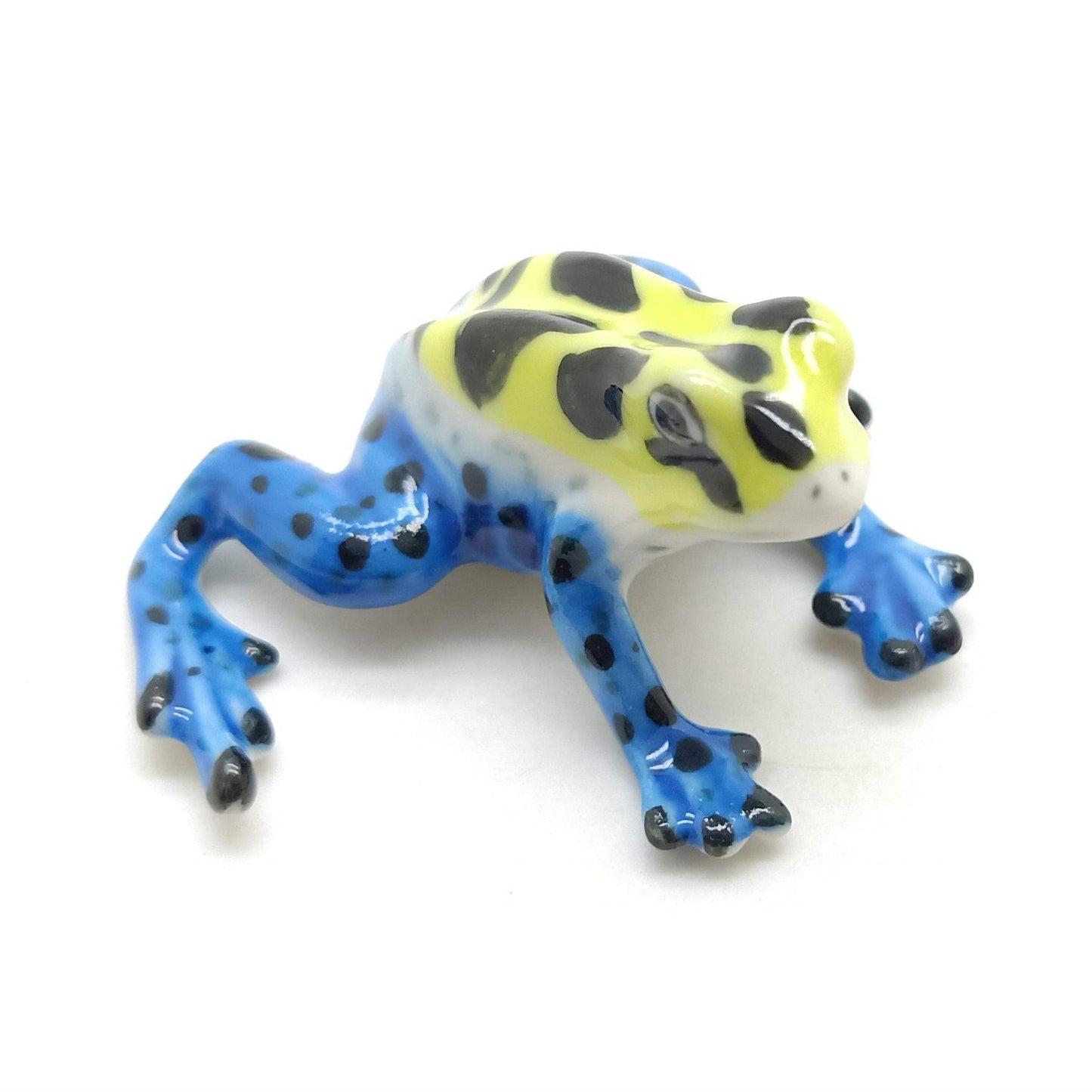 Mimic Poison Dart Frog