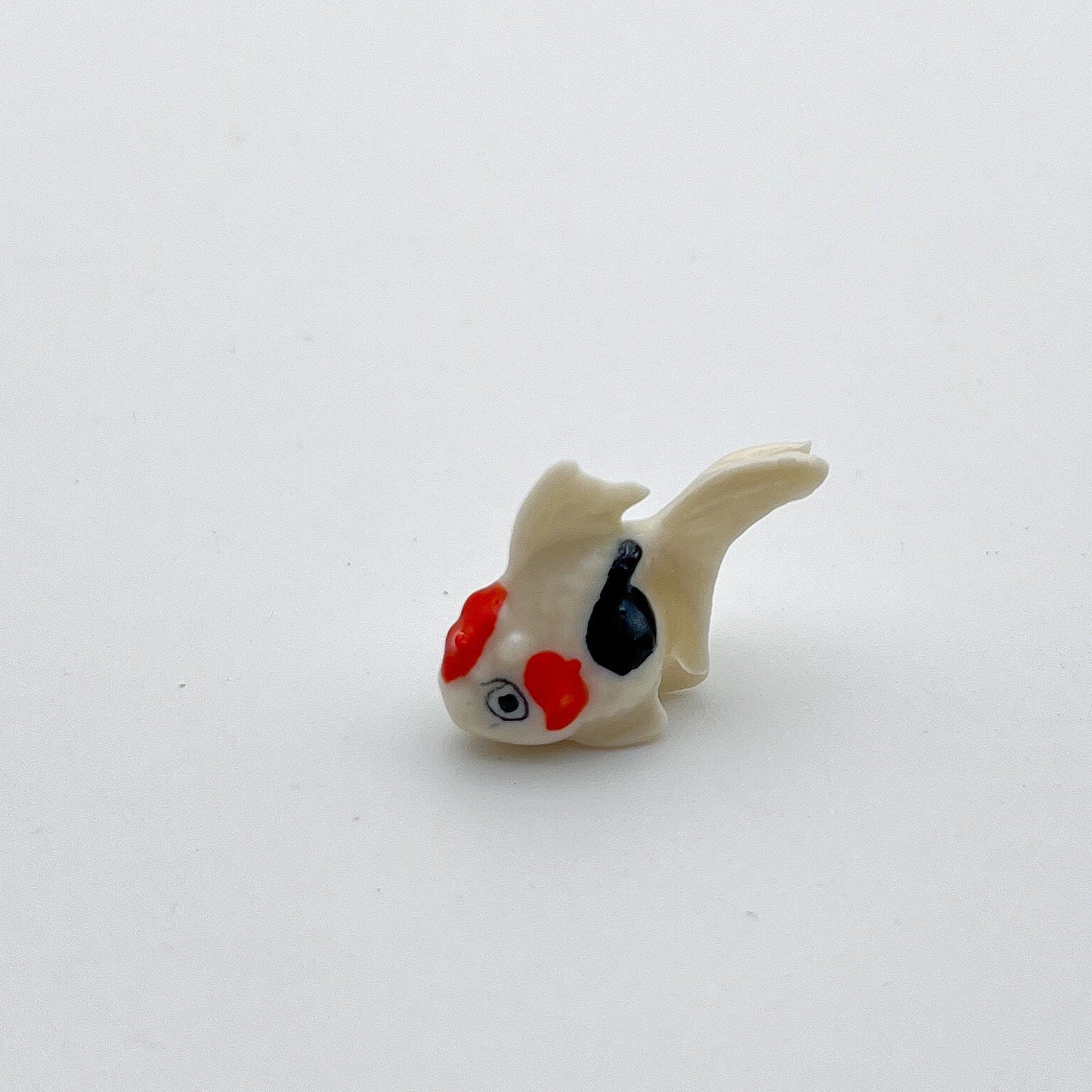Tiny White Goldfish Gold Fish