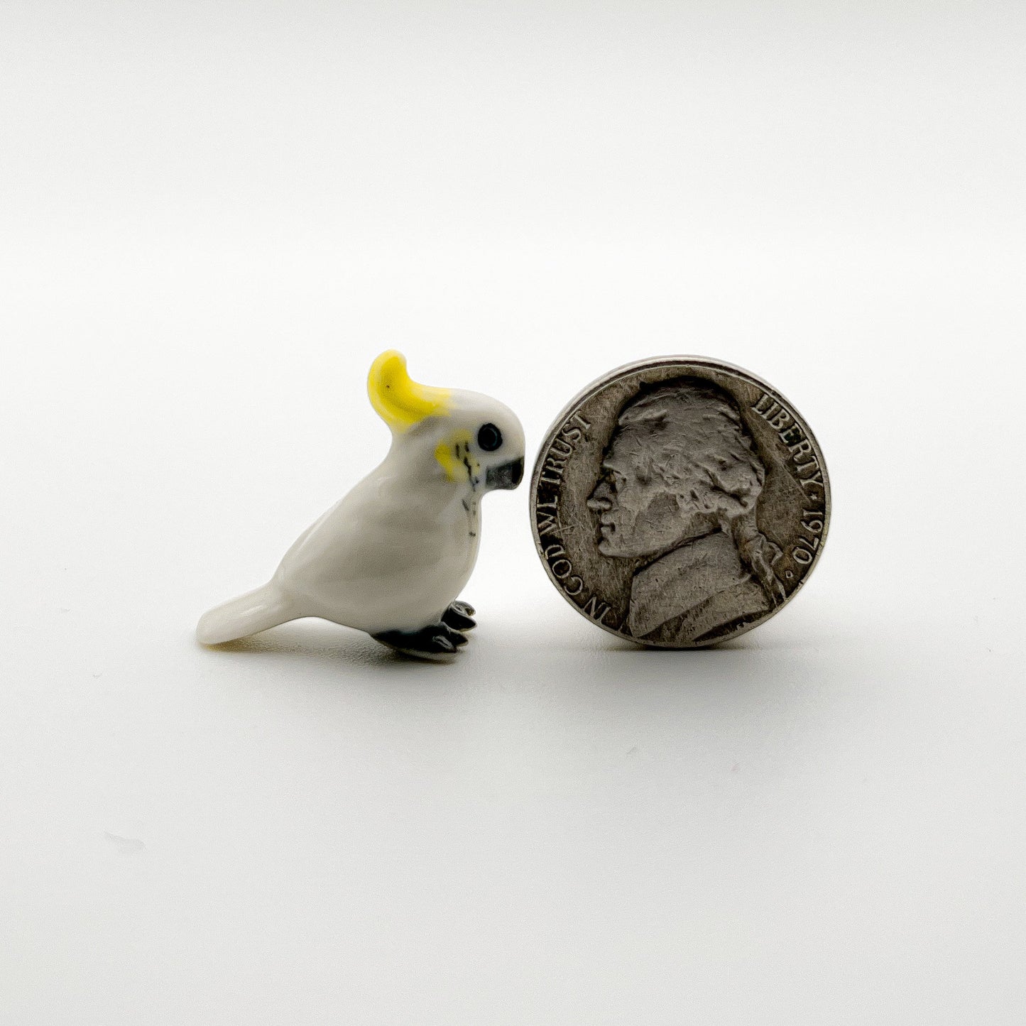 Mini Cockatoo Birds
