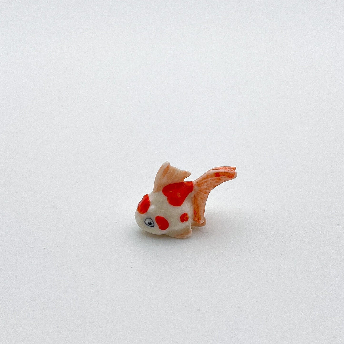 Tiny White Goldfish Gold Fish
