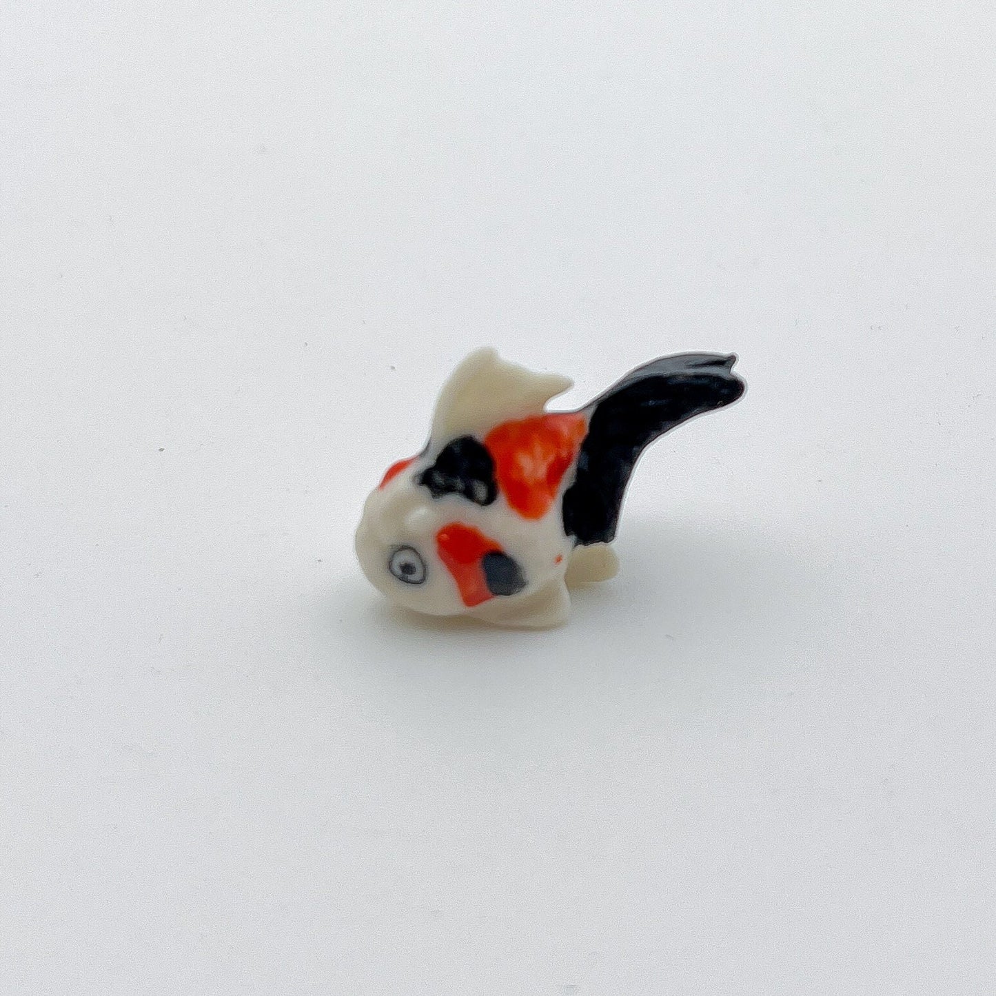 Tiny White Goldfish Gold Fish