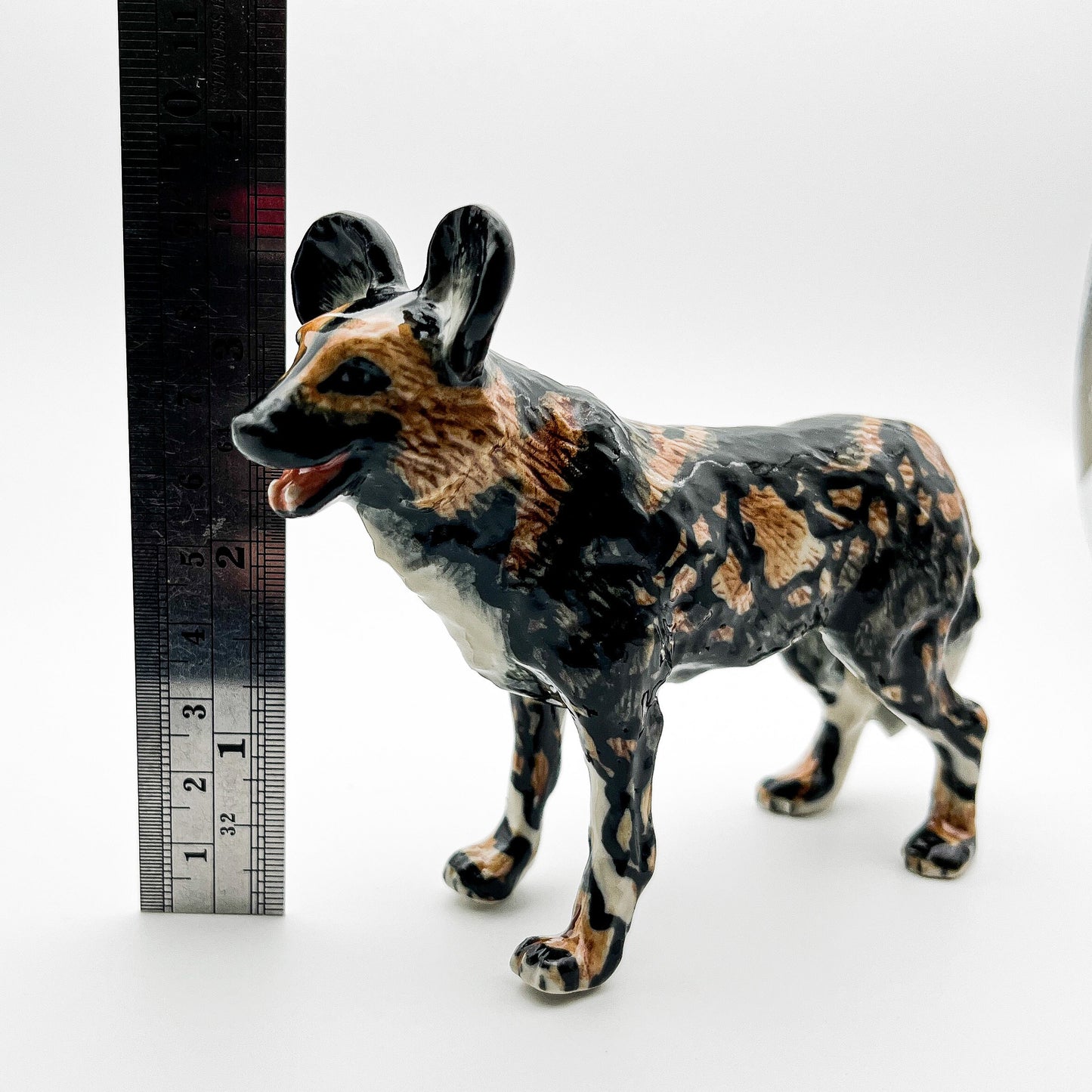 African Wild Dog Lycaon Pictus