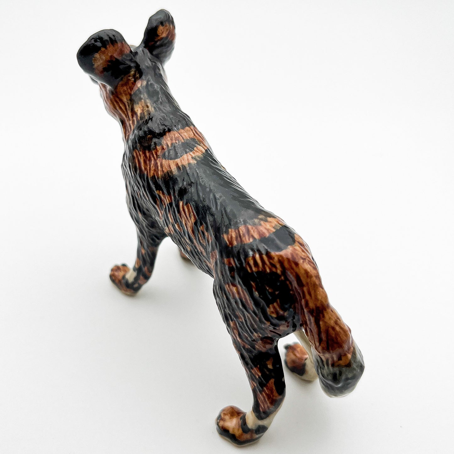 African Wild Dog Lycaon Pictus