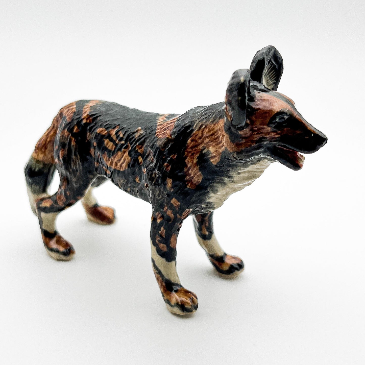 African Wild Dog Lycaon Pictus