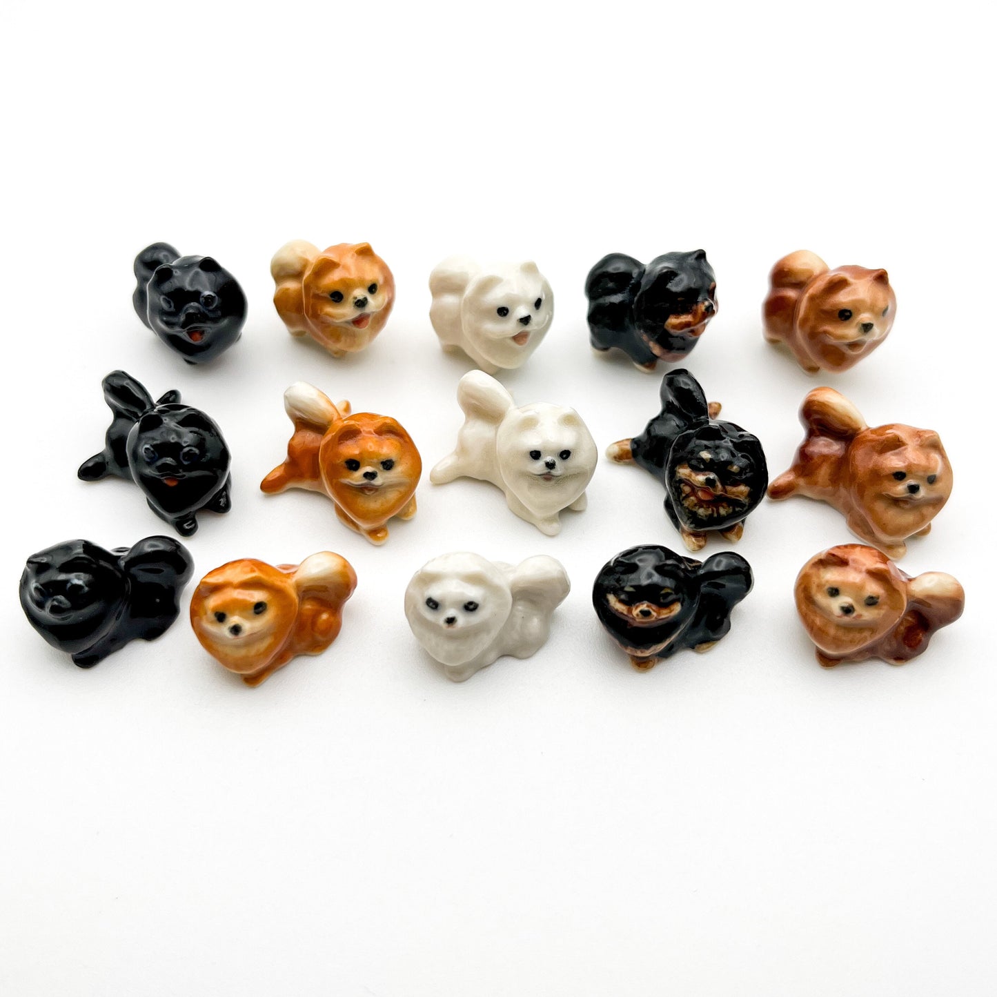 3 Tiny Pomeranian Dogs