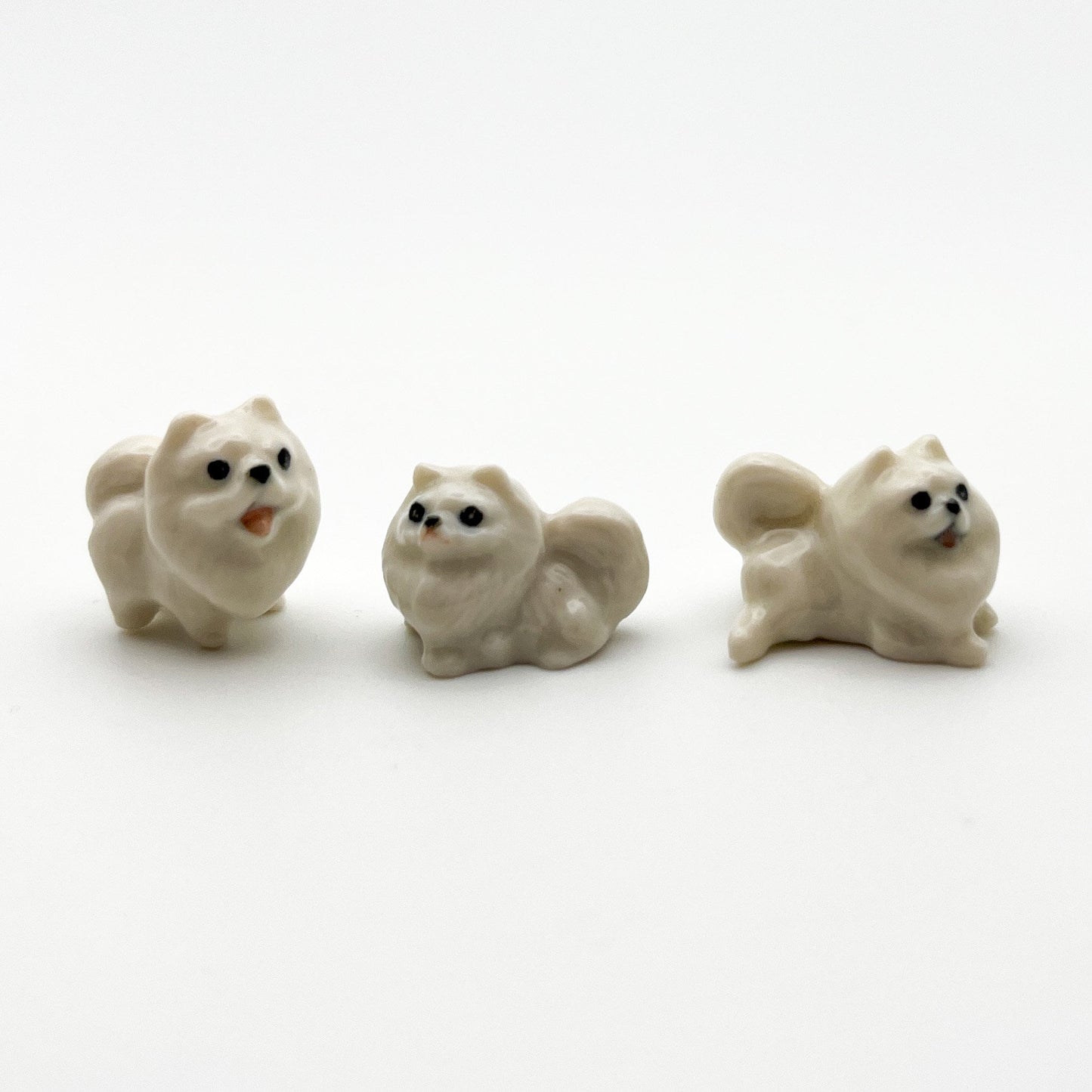3 Tiny Pomeranian Dogs