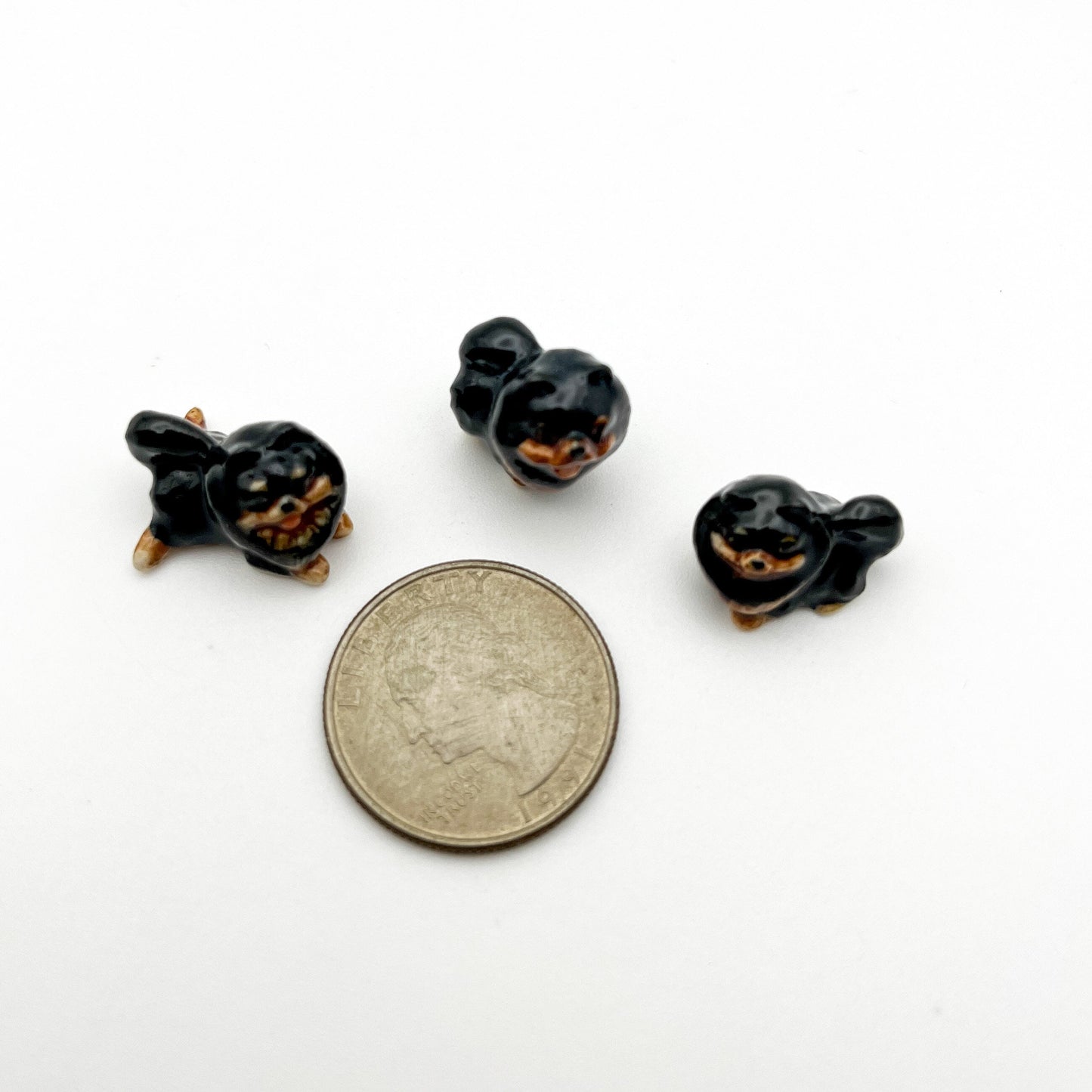 3 Tiny Pomeranian Dogs
