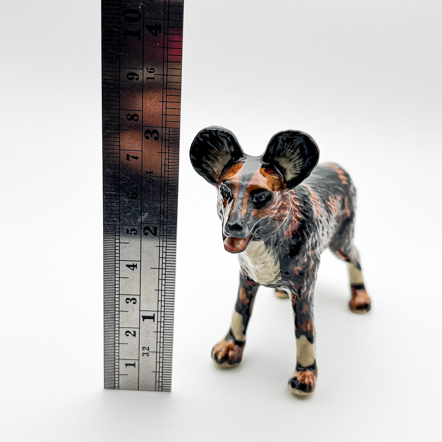 African Wild Dog Lycaon Pictus