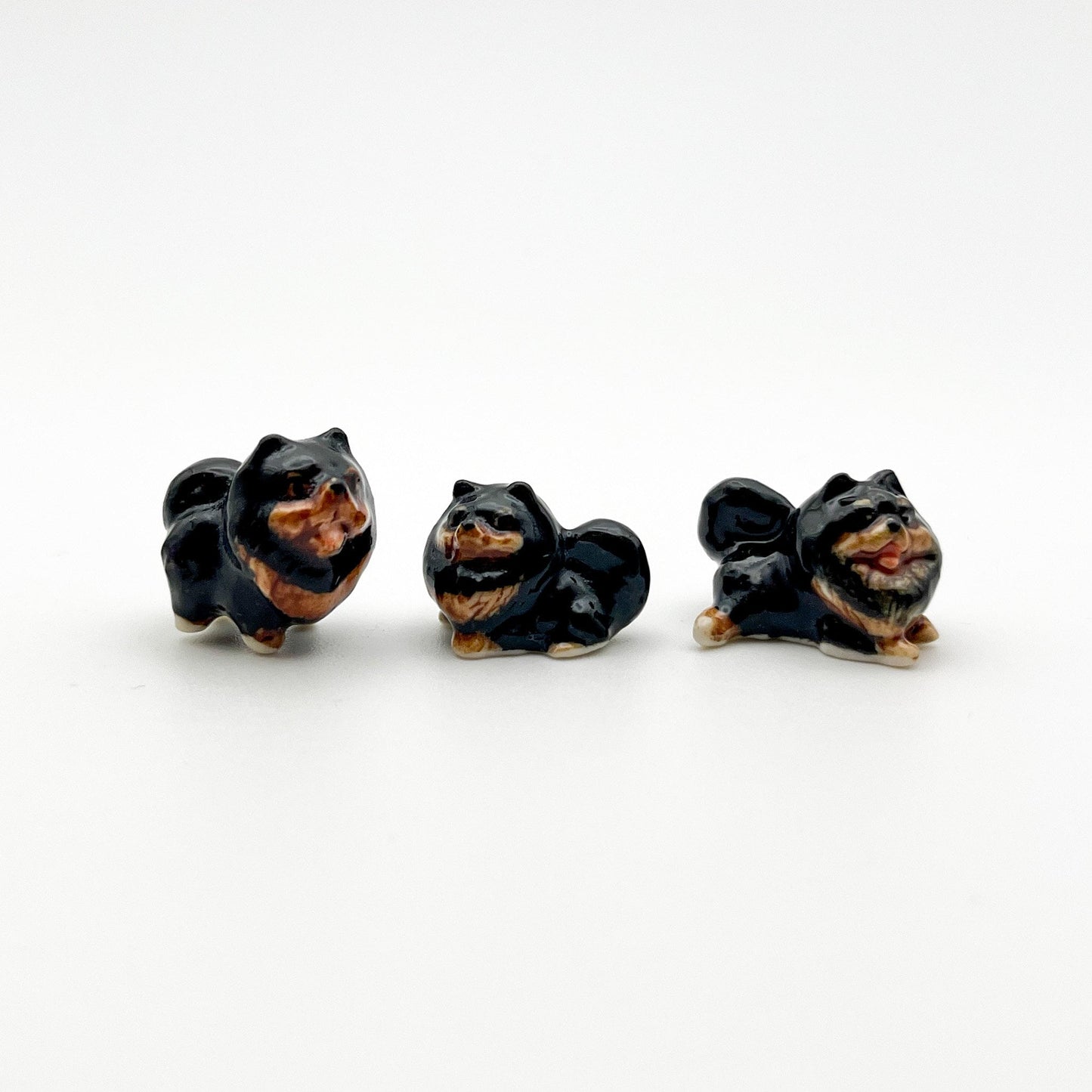 3 Tiny Pomeranian Dogs