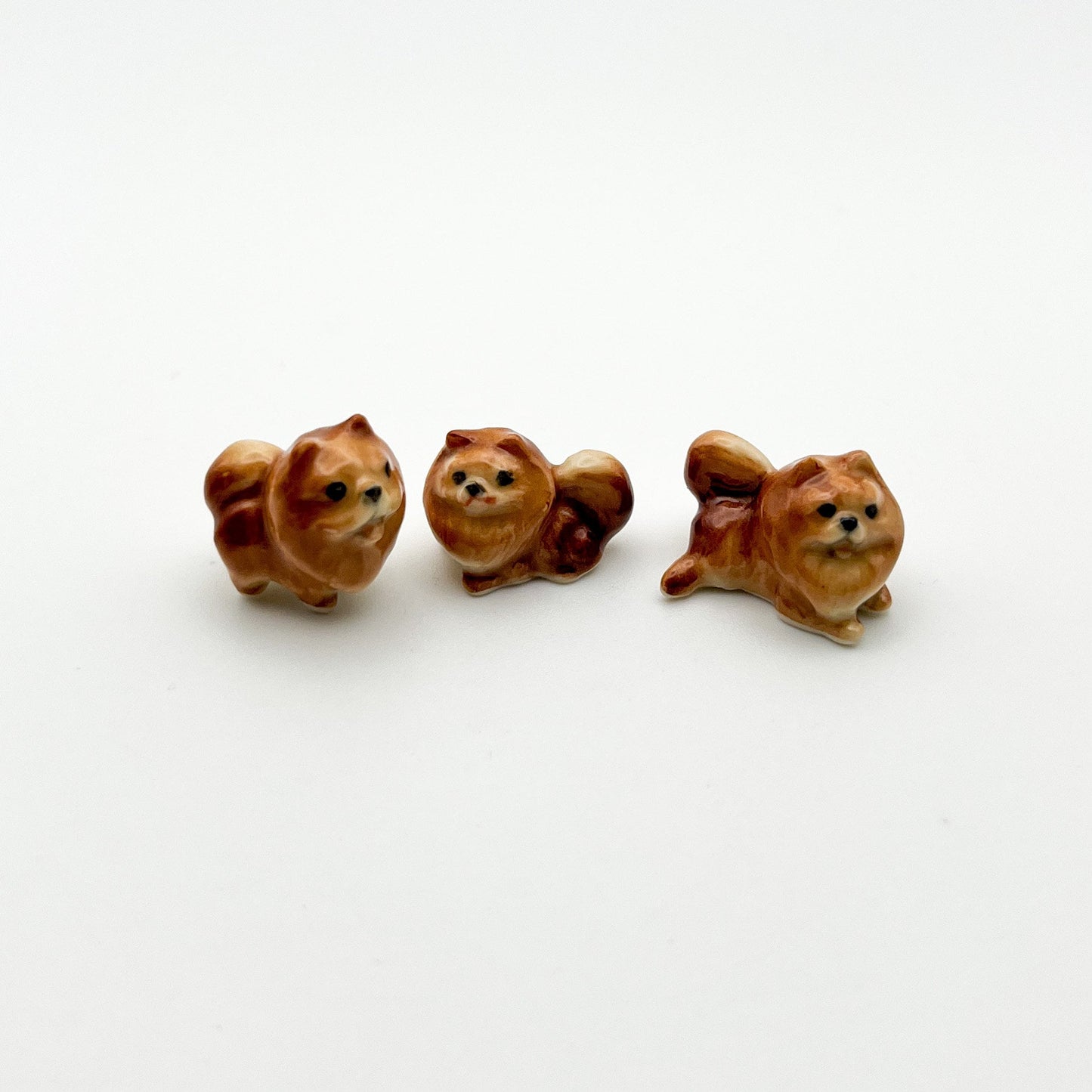 3 Tiny Pomeranian Dogs