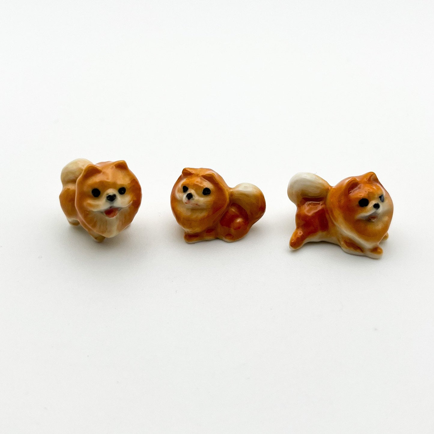 3 Tiny Pomeranian Dogs
