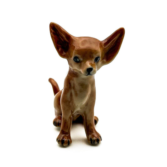 Brown Chihuahua Pup