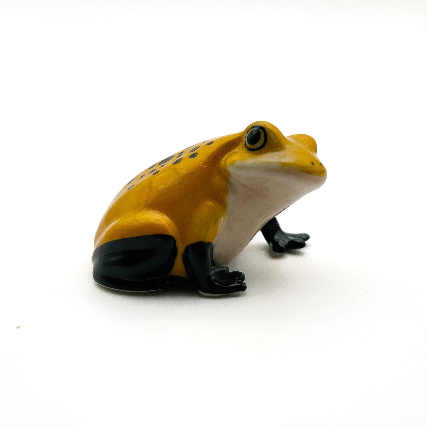 Frog #2