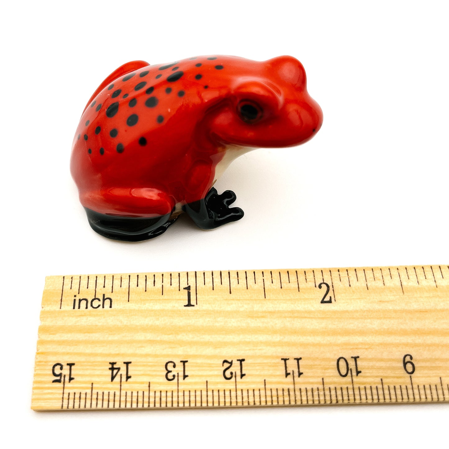 Frog #2