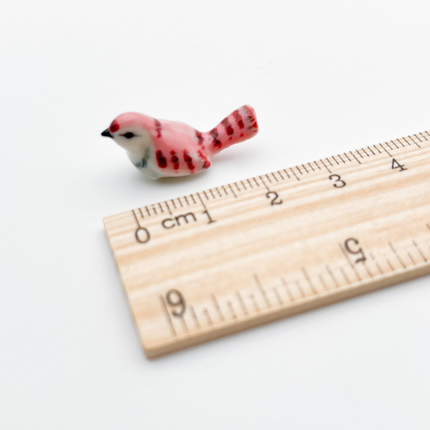 Tiny Wren Bird Set