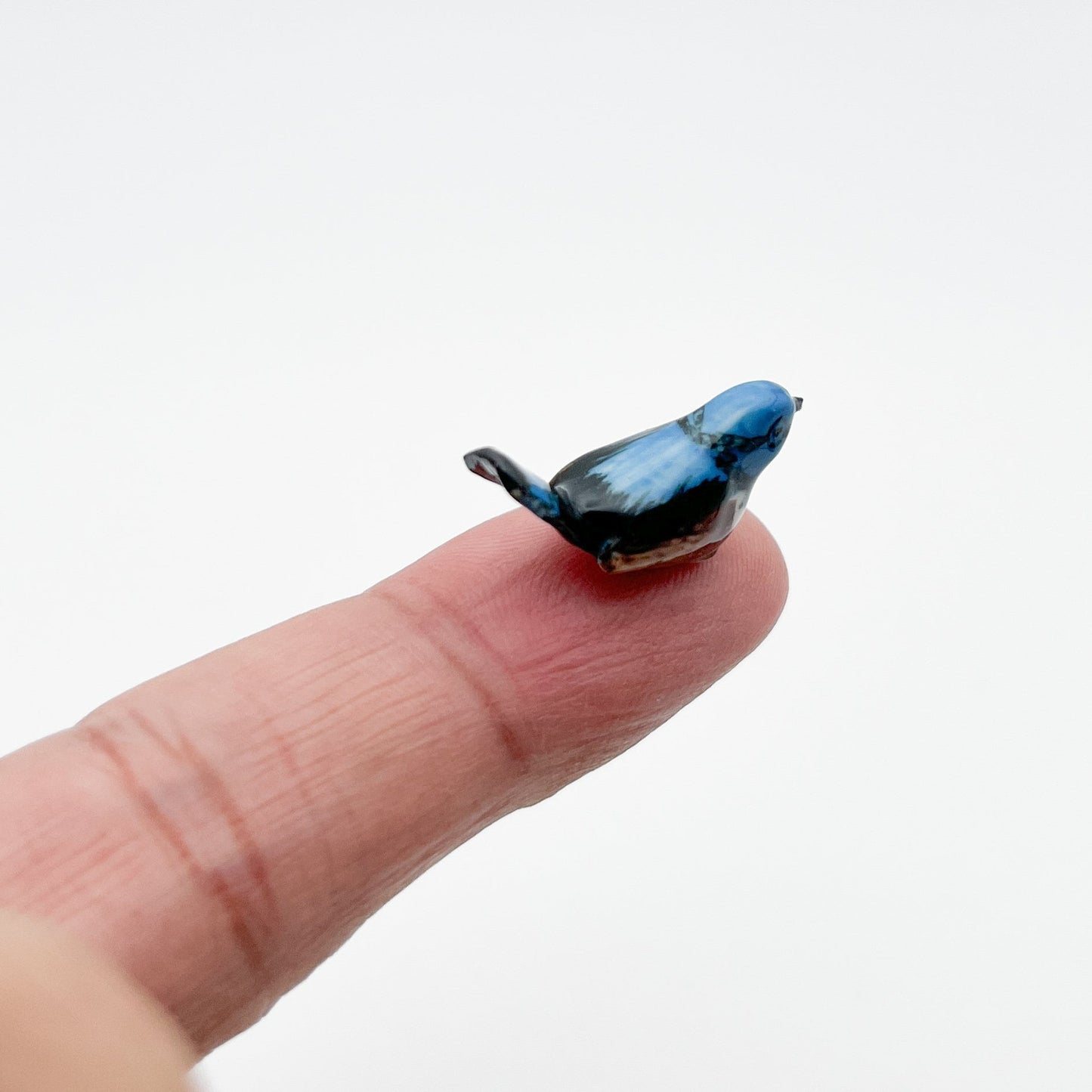 Tiny Wren Bird Set