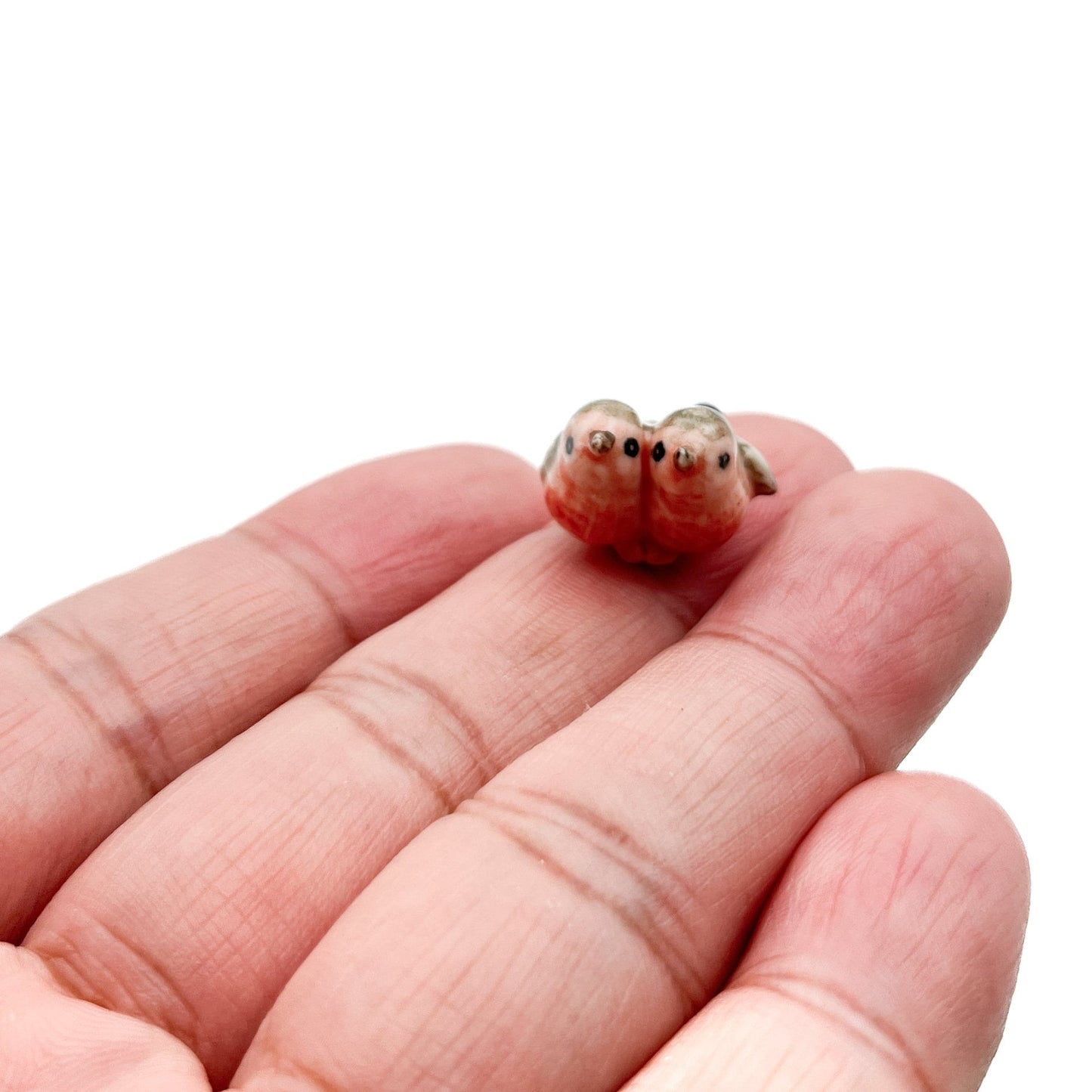 Tiny Sparrow Lovebirds