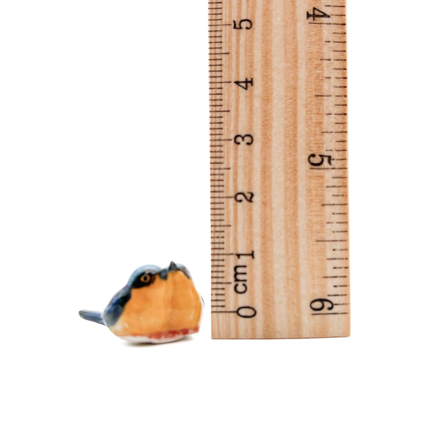 Tiny Pair of Blue Birds