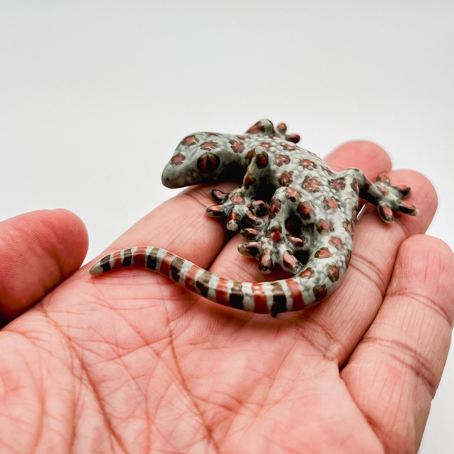 4 Grey Gecko Lizard
