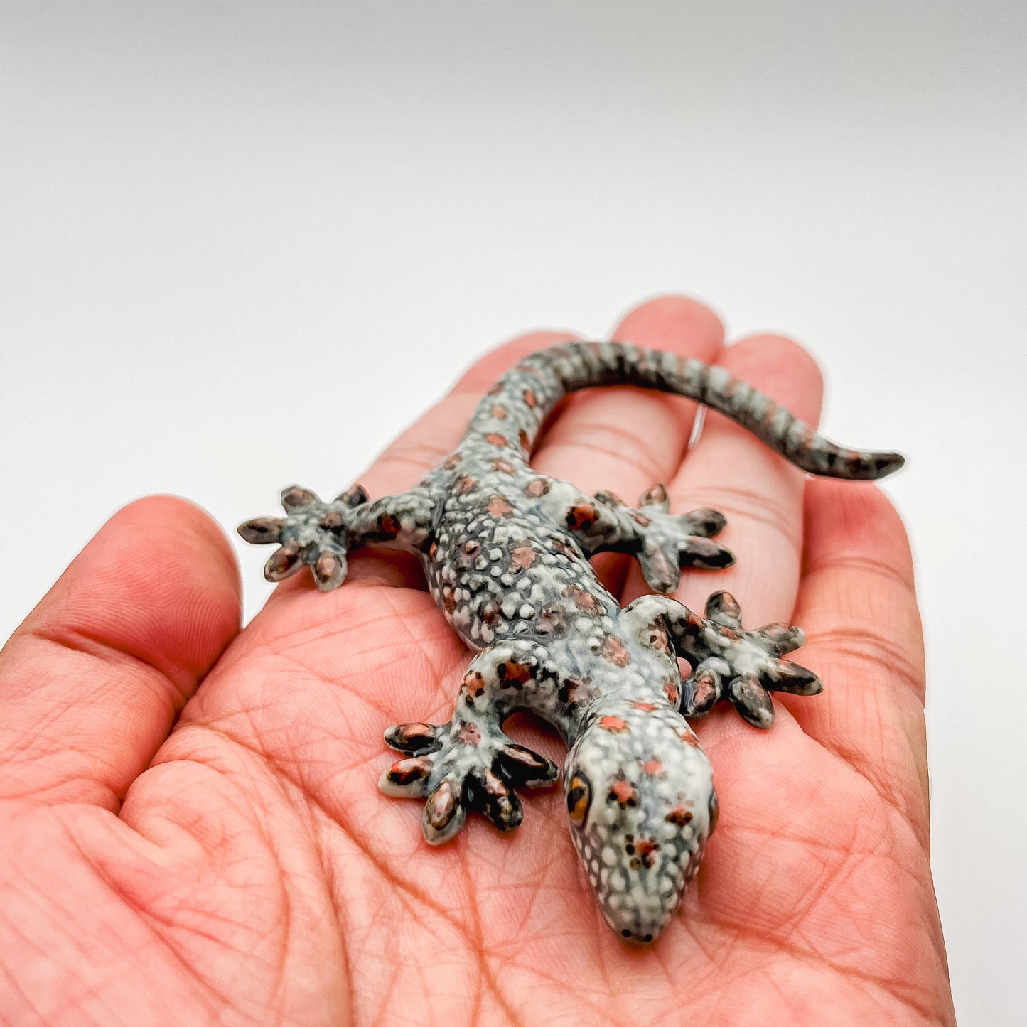 4 Grey Gecko Lizard