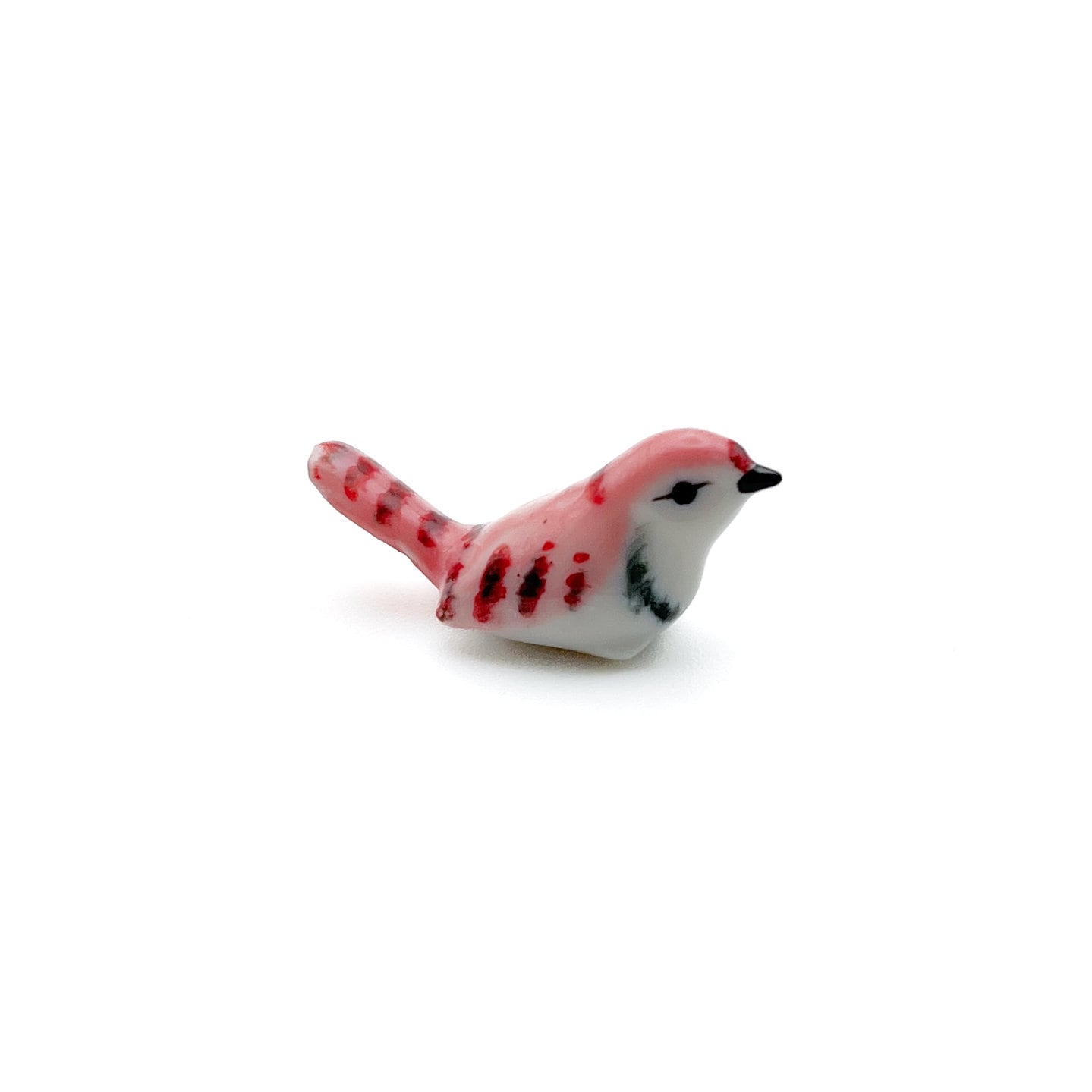 Tiny Wren Bird Set