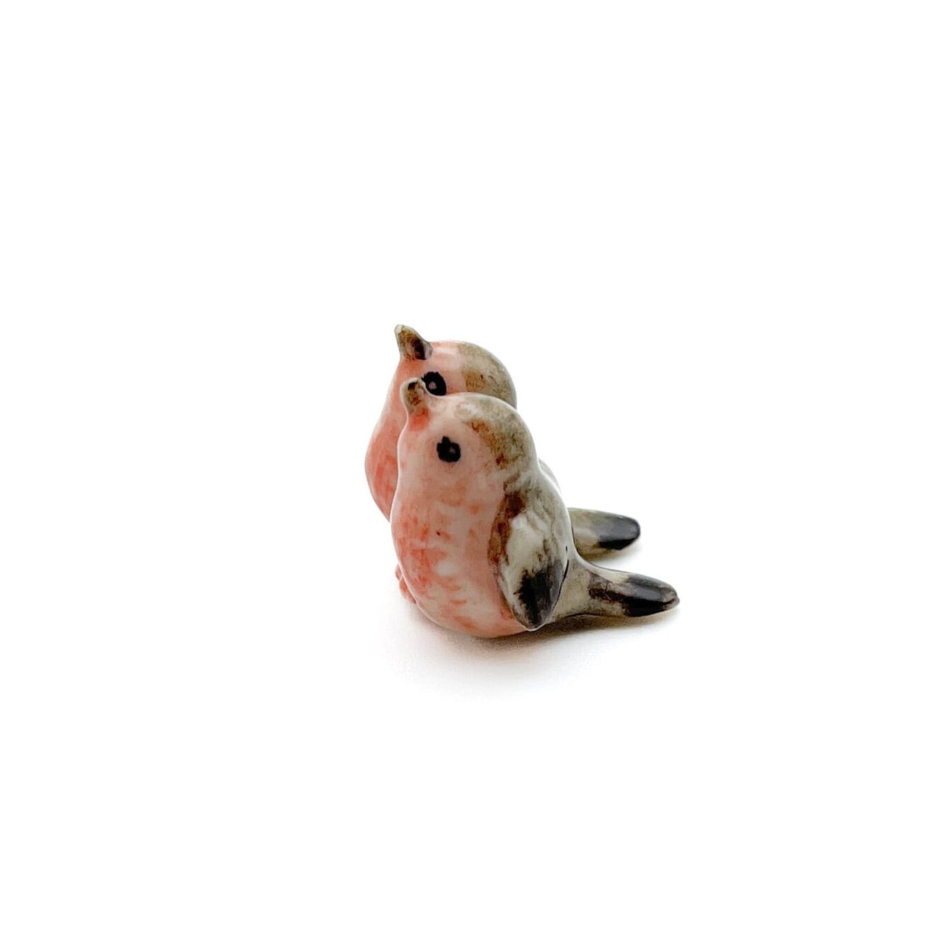 Tiny Sparrow Lovebirds