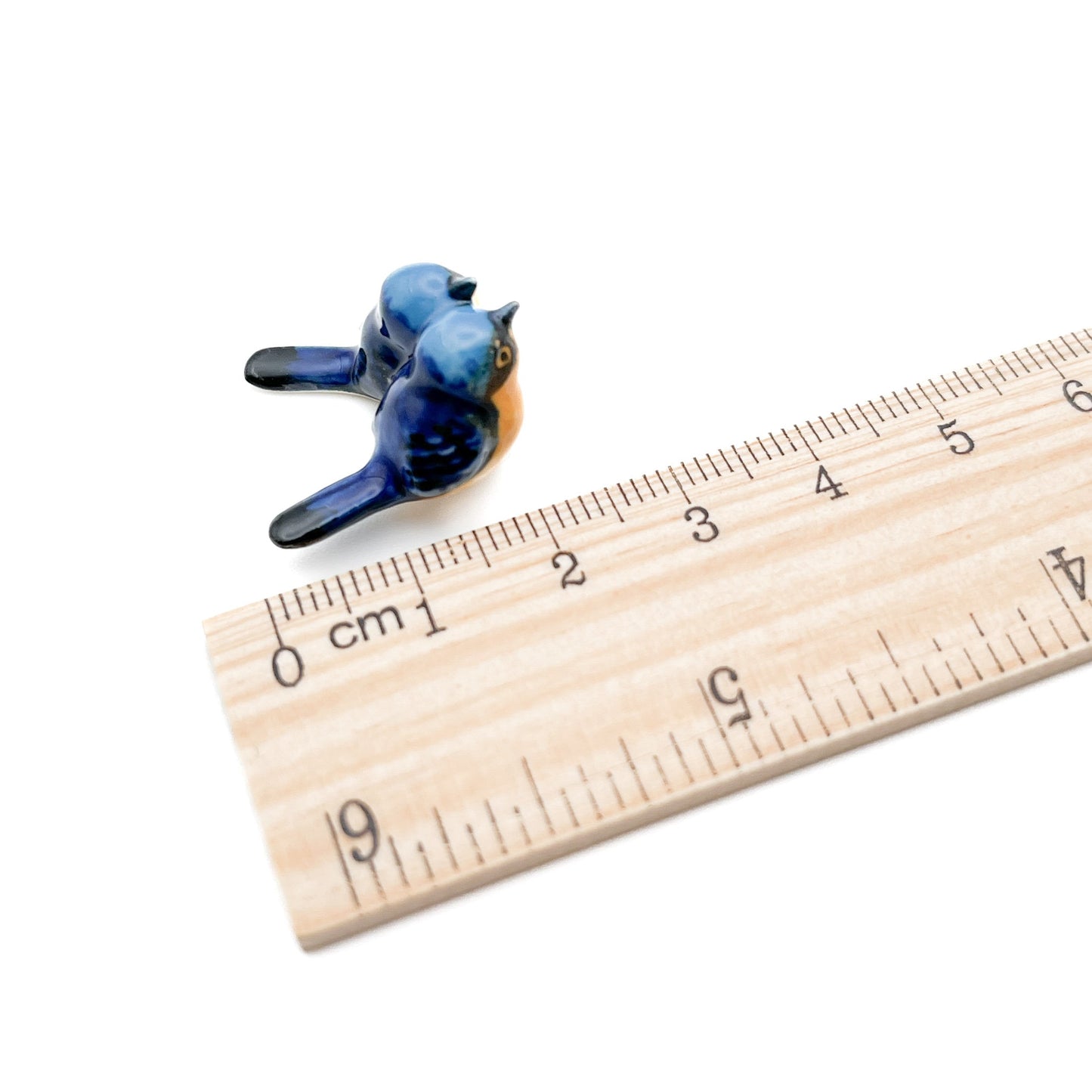 Tiny Pair of Blue Birds