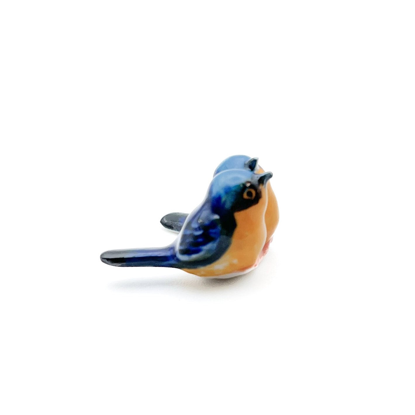 Tiny Pair of Blue Birds